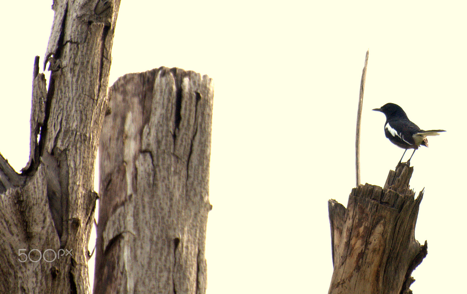 Nikon D90 sample photo. Earth photography