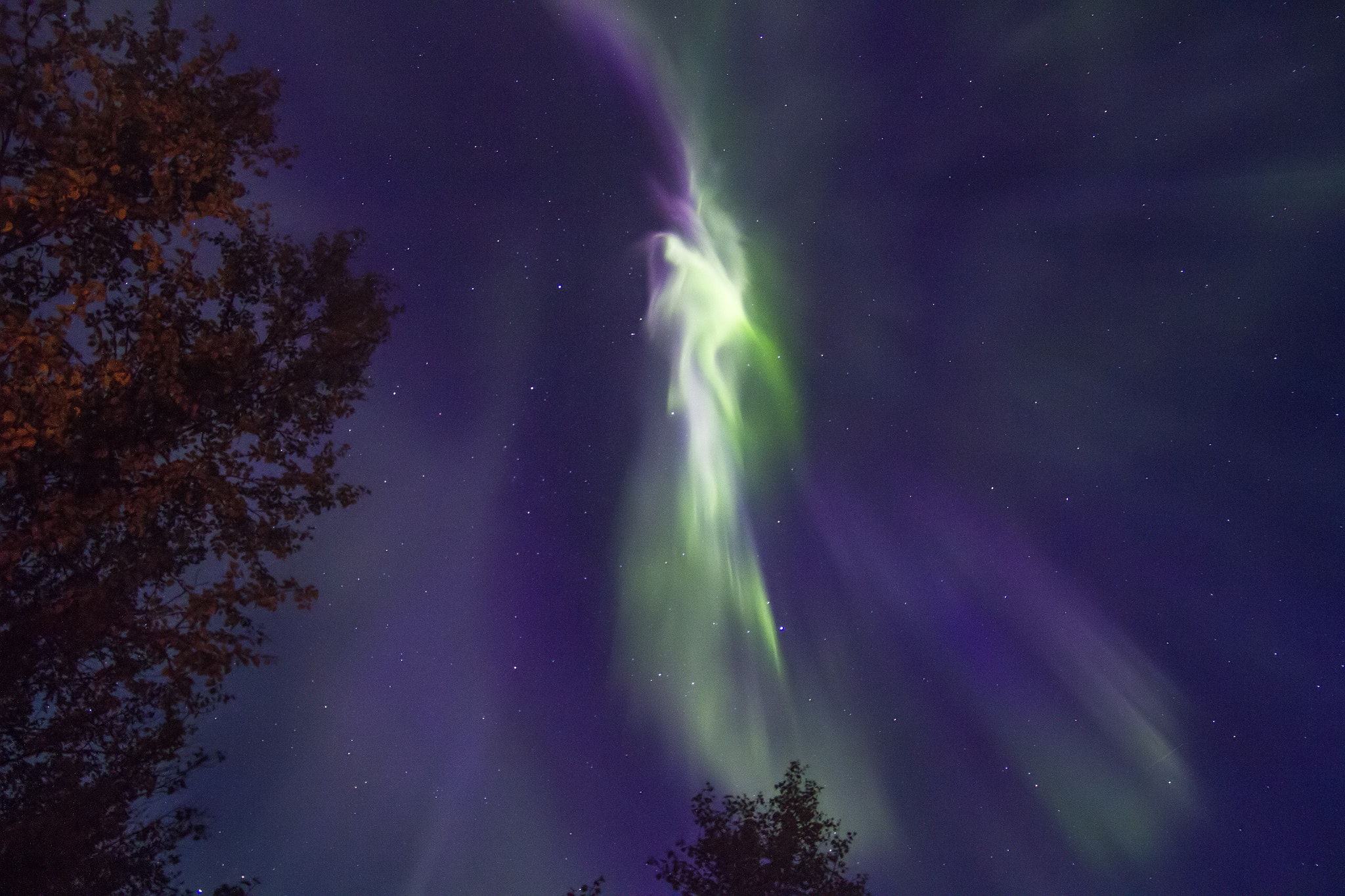 Canon EOS 7D + Tokina AF-X Pro 16-50mm F2.8 DX sample photo. Figure in the aurora photography