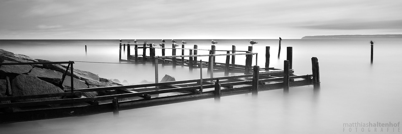 Canon EF-S 10-22mm F3.5-4.5 USM sample photo. Seagulls photography