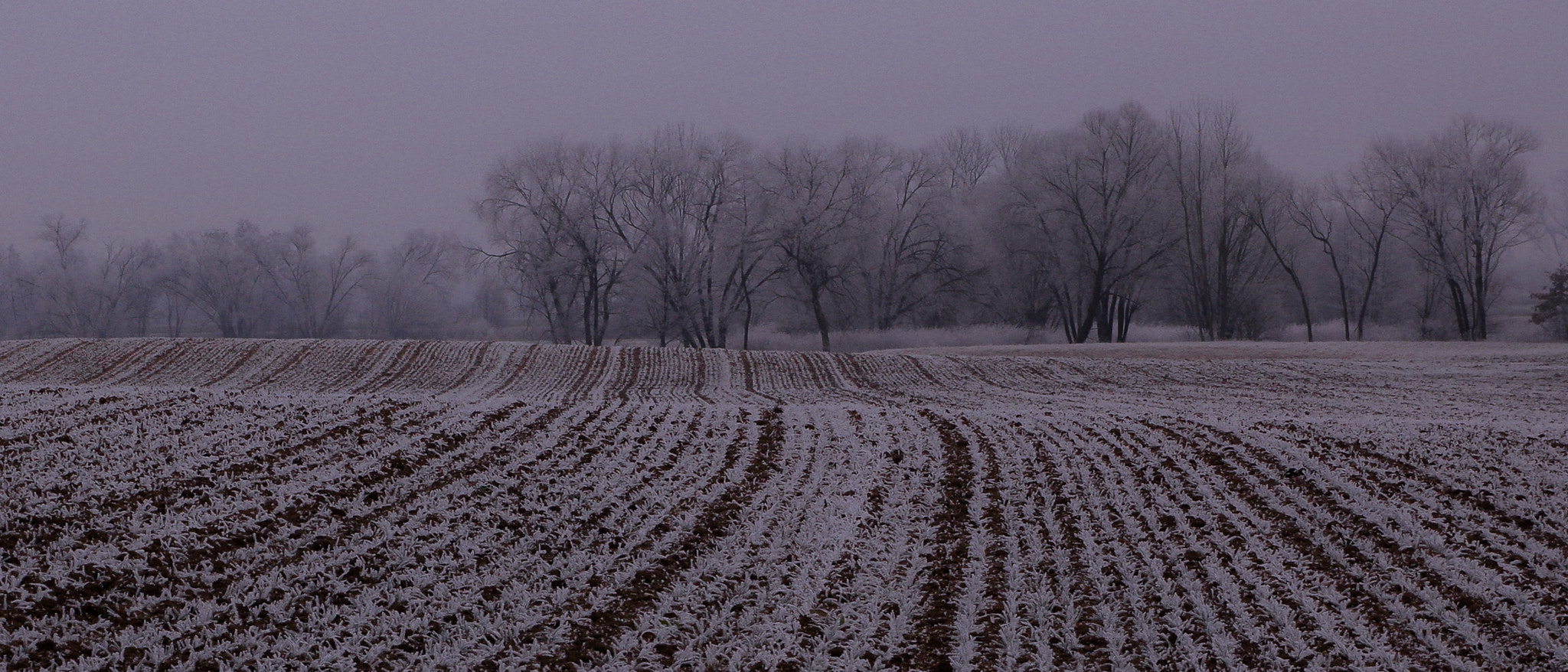Pentax K-3 sample photo. Winter's grip photography