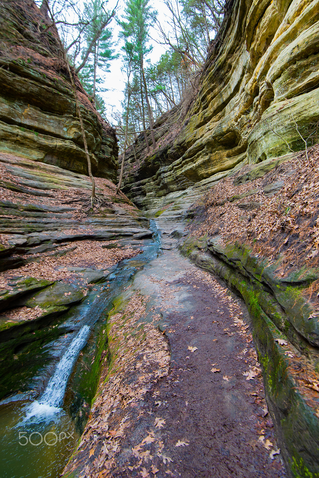 Nikon D610 sample photo. Starved rock trail photography