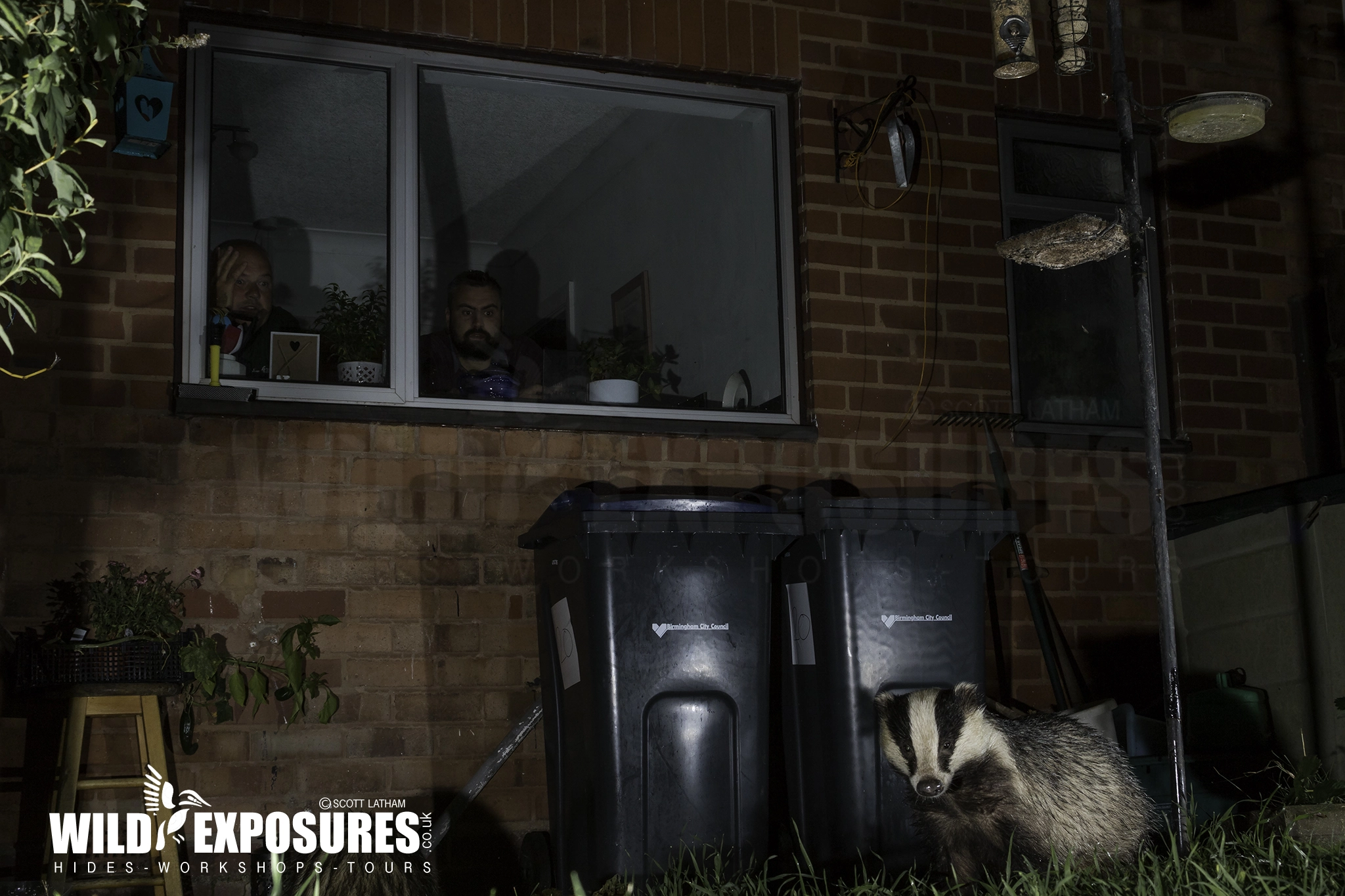 Canon EF 28-80mm f/2.8-4L sample photo. Urban badger photography