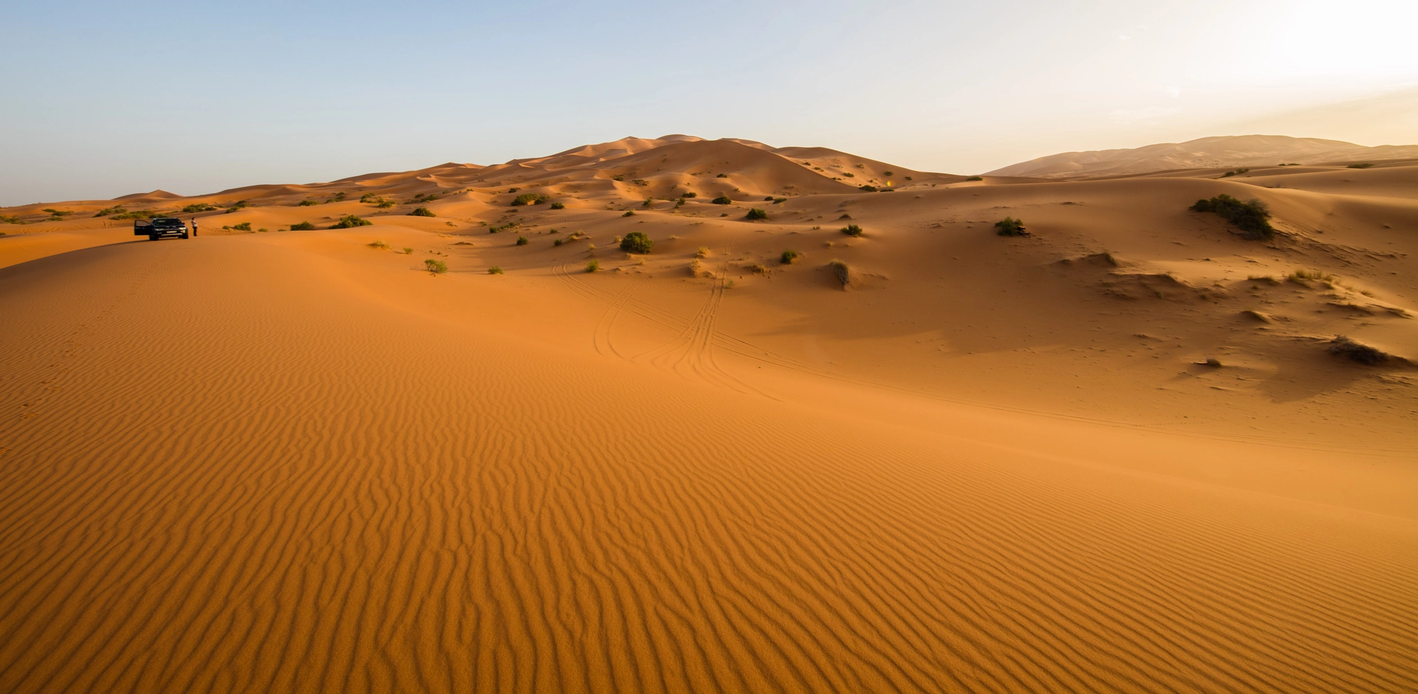 Canon EOS 5DS R + Canon EF 11-24mm F4L USM sample photo. Dune bashing photography