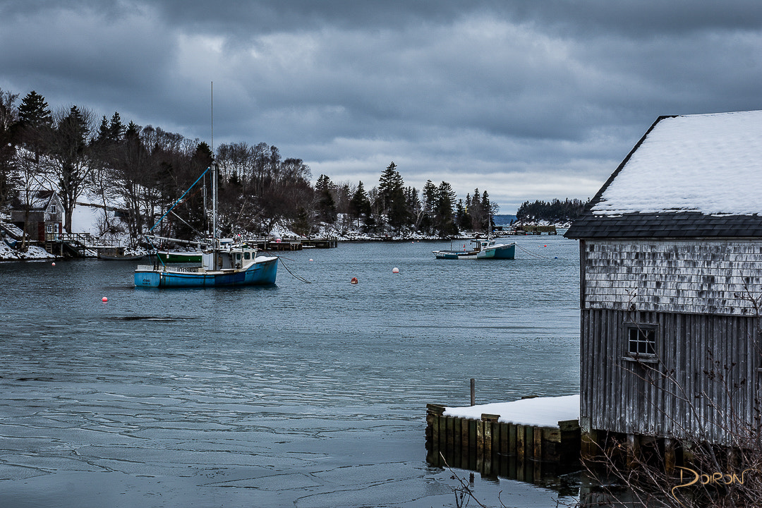 Nikon D7200 sample photo. Winter harbour photography