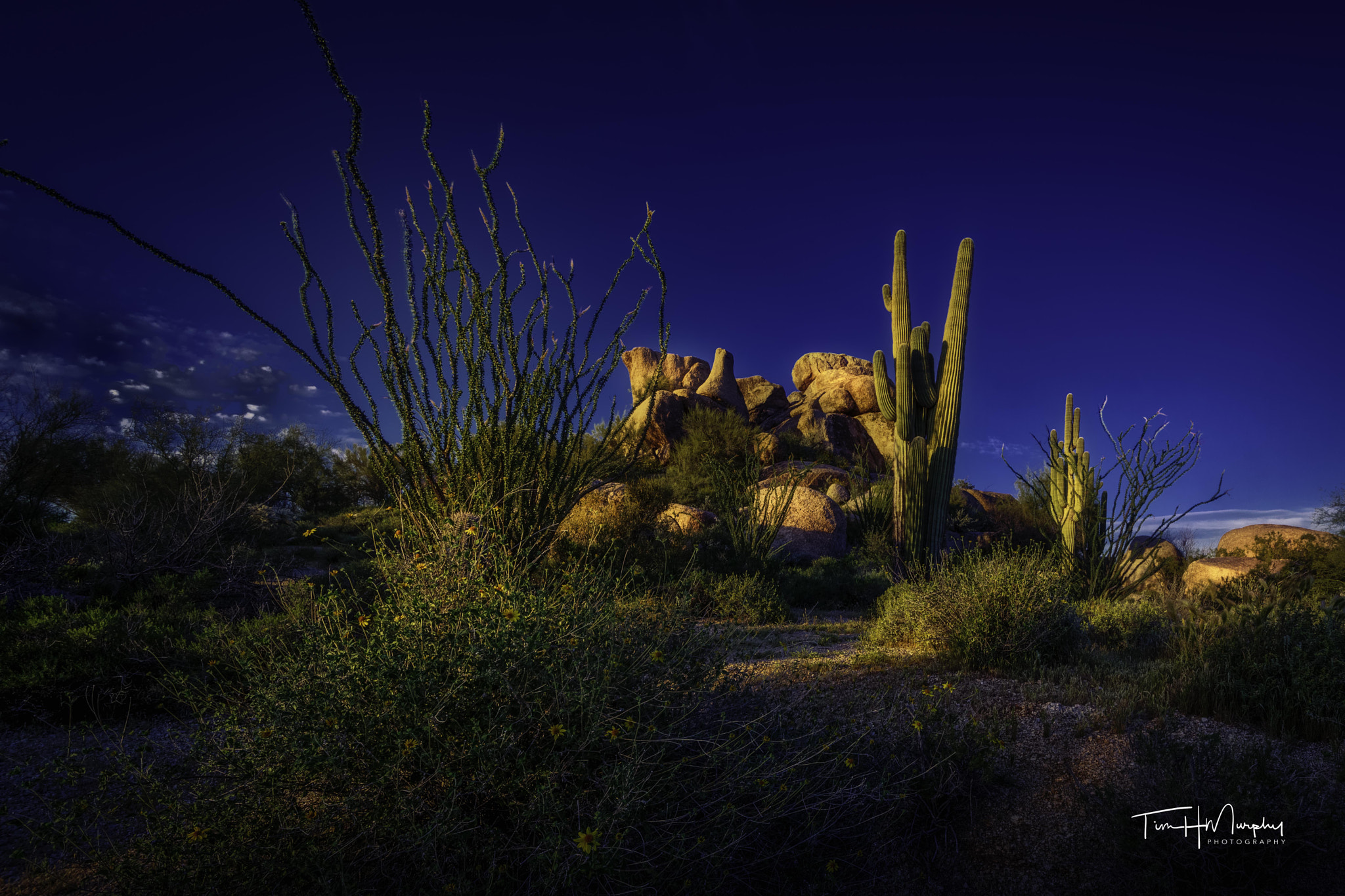 Nikon D7100 sample photo. Desert twilight photography