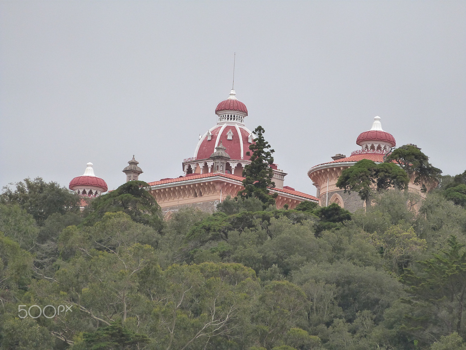 Panasonic Lumix DMC-FZ47 (Lumix DMC-FZ48) sample photo. Monserrate - sintra photography