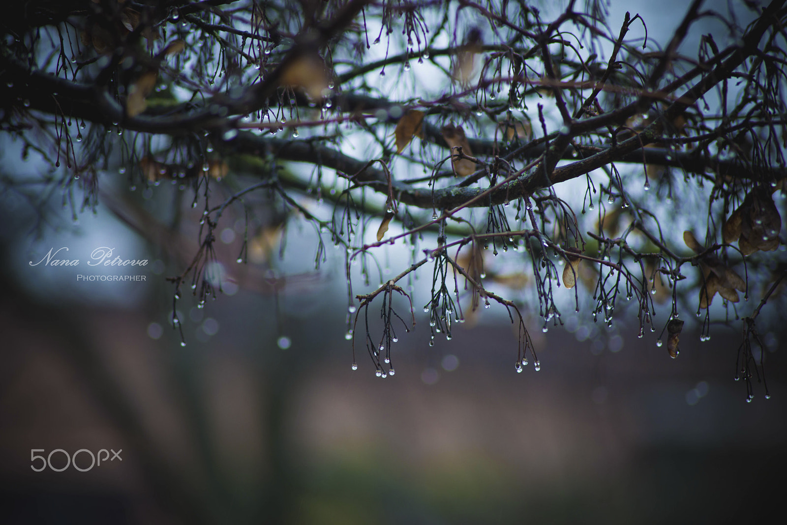 Nikon D800 sample photo