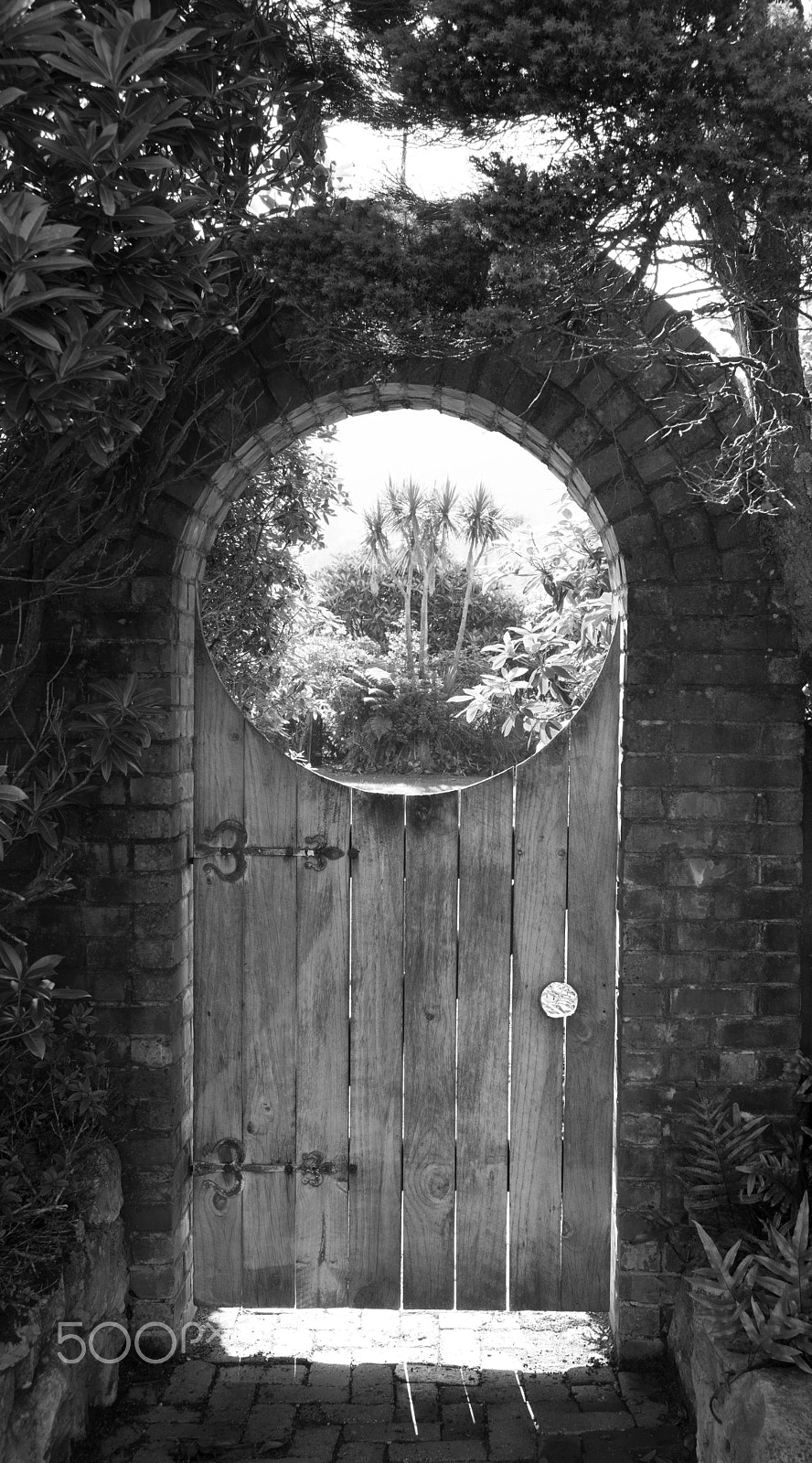 Summicron-M 1:2/35 ASPH. sample photo. Garden gate, west coast south island, new zealand - december 2016 photography