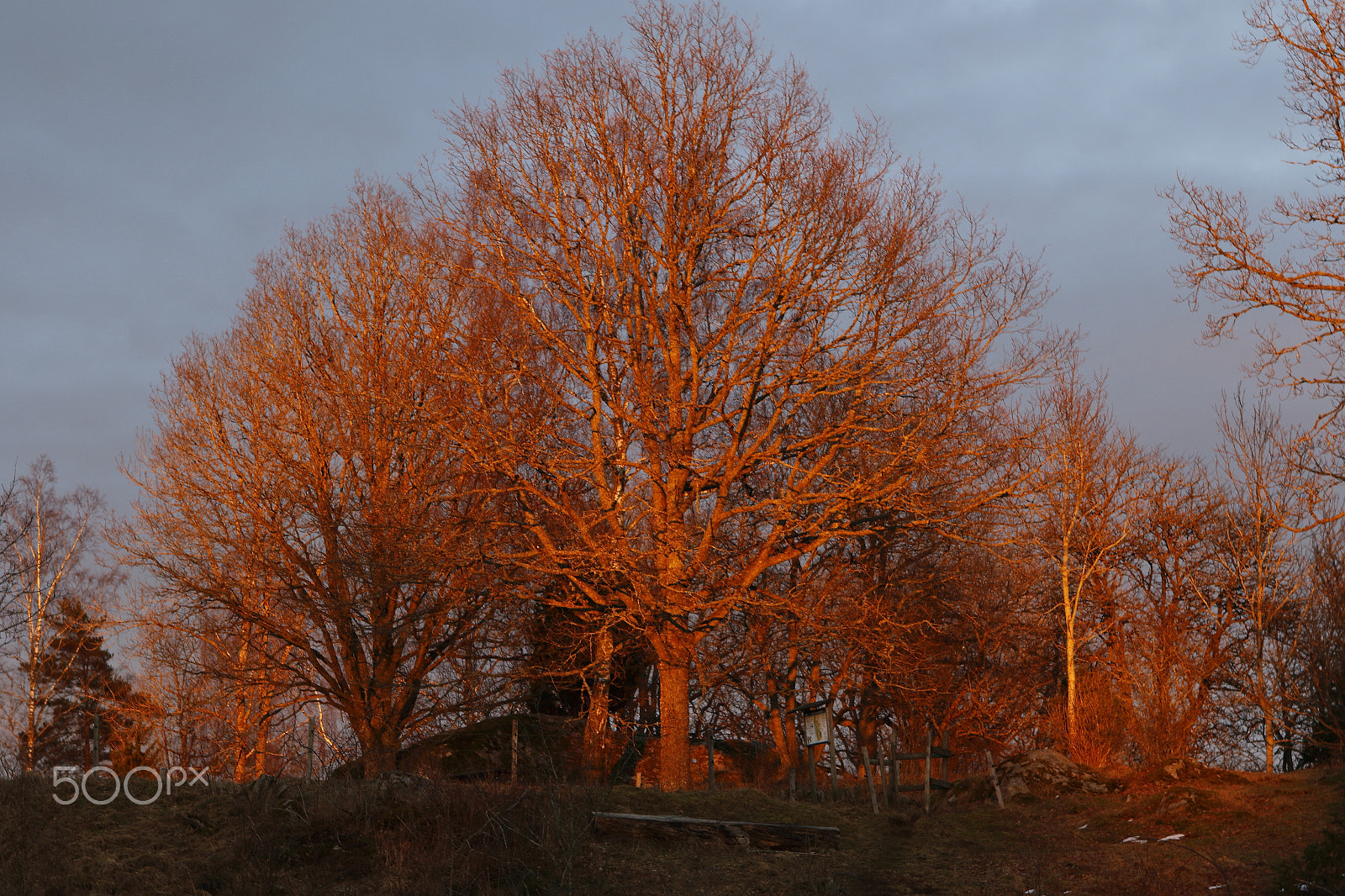 Canon EF 24-70mm F2.8L USM sample photo. In the last red light of the evening photography
