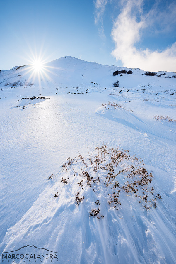 Nikon D750 sample photo. A solitary winter day photography