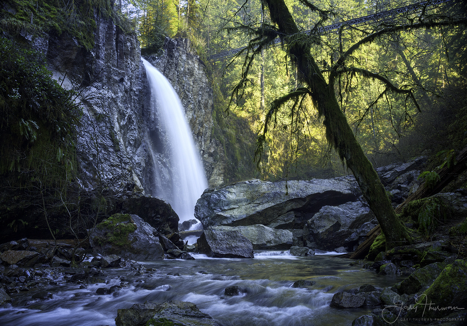 Sigma 18-125mm f/3.5-5.6 DC IF ASP sample photo. Drift creek falls photography