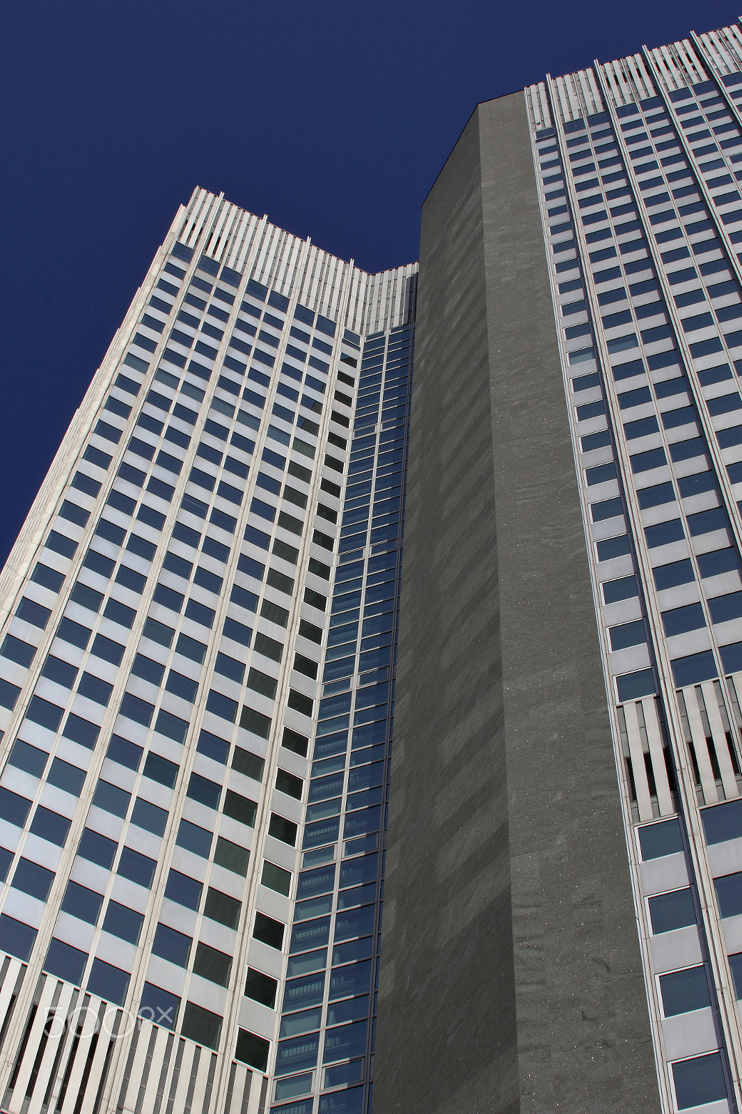 Canon EOS 60D sample photo. Office windows - ii photography