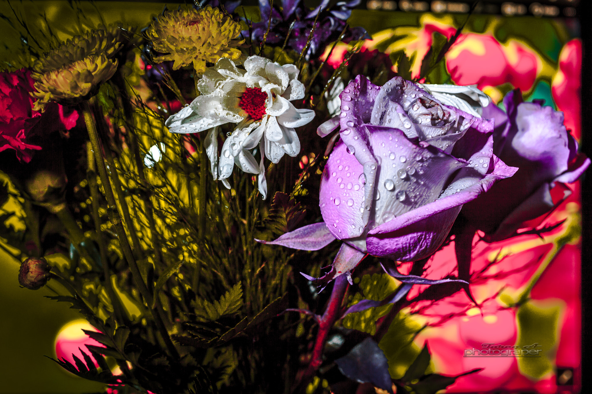 Canon EF 40mm F2.8 STM sample photo. Flowers photography