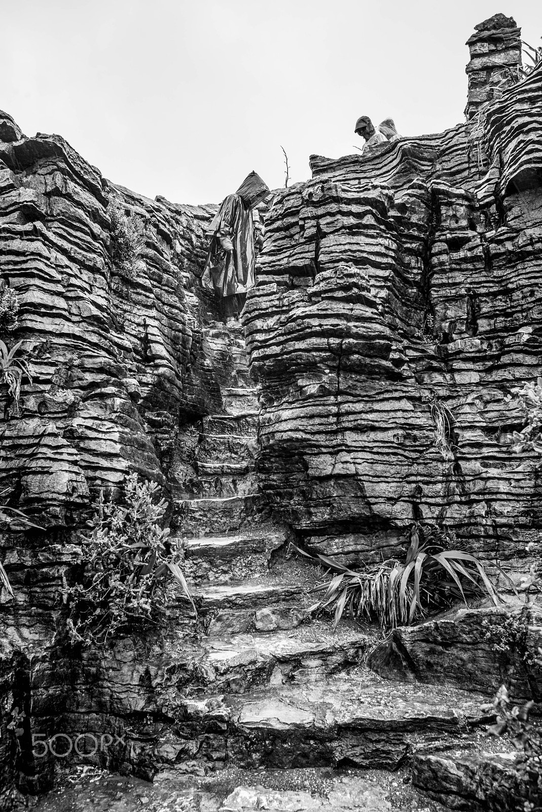 Summicron-M 1:2/35 ASPH. sample photo. Punakaiki iv - wet pancake rock formation makes an interesting stairway. new zealand, december 2016 photography