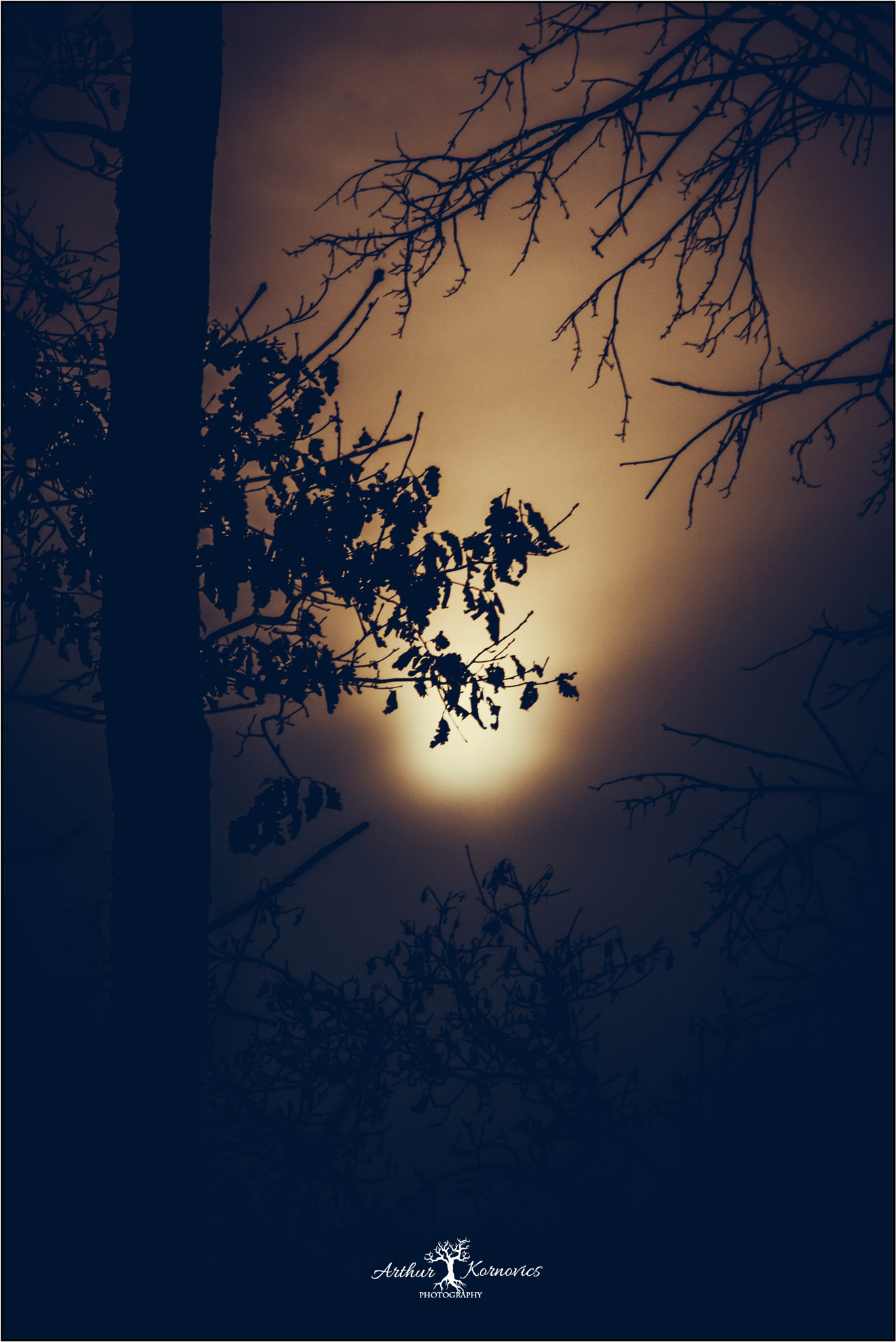 Sigma 18-250mm F3.5-6.3 DC OS HSM sample photo. The night sky glows with faded echos photography