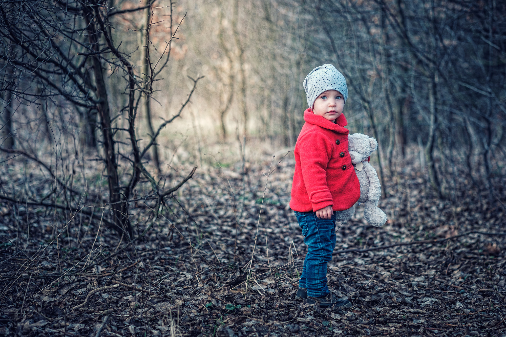 Fujifilm X-T2 + Fujifilm XF 56mm F1.2 R sample photo. Thorny path photography