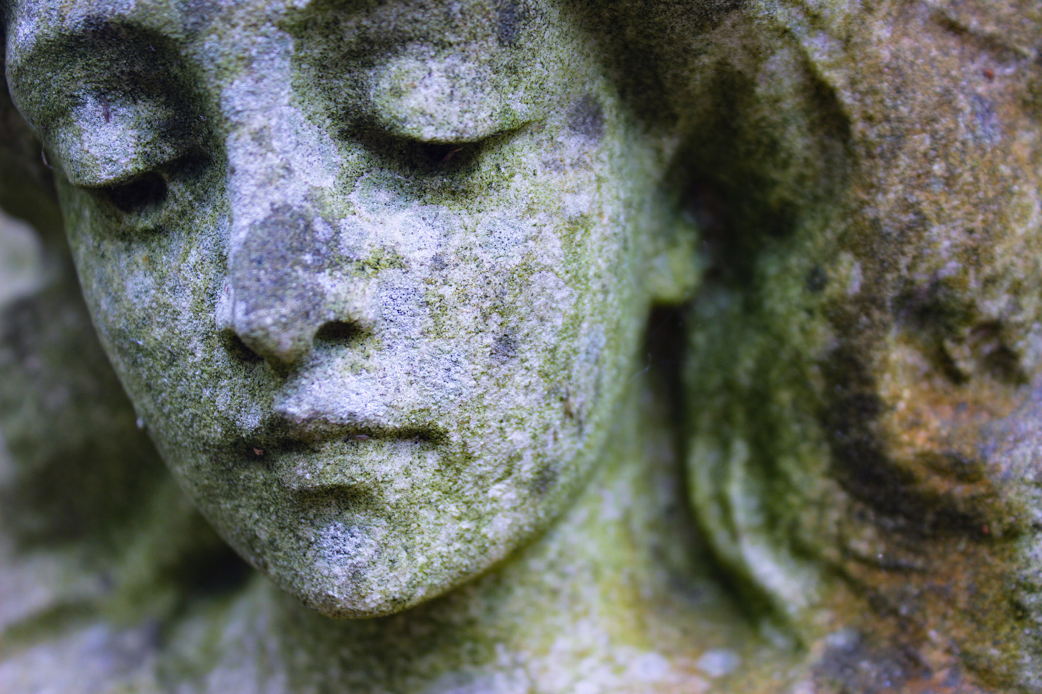 Canon EF-S 18-55mm F3.5-5.6 IS II sample photo. Sorrow and serenity photography