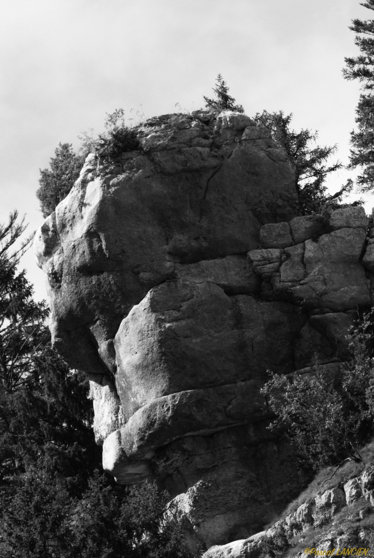 Nikon AF-S Nikkor 24-120mm F4G ED VR sample photo. Stone face photography