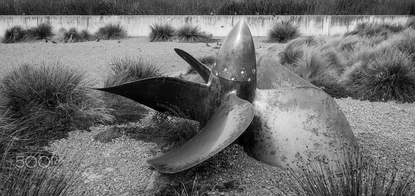 Leica M (Typ 240) + Summicron-M 1:2/35 ASPH. sample photo. Ships propeller, chaffers docks, wellington, new zealand - december 2016 photography