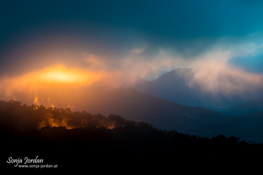 Nikon D500 sample photo. Burning forest photography