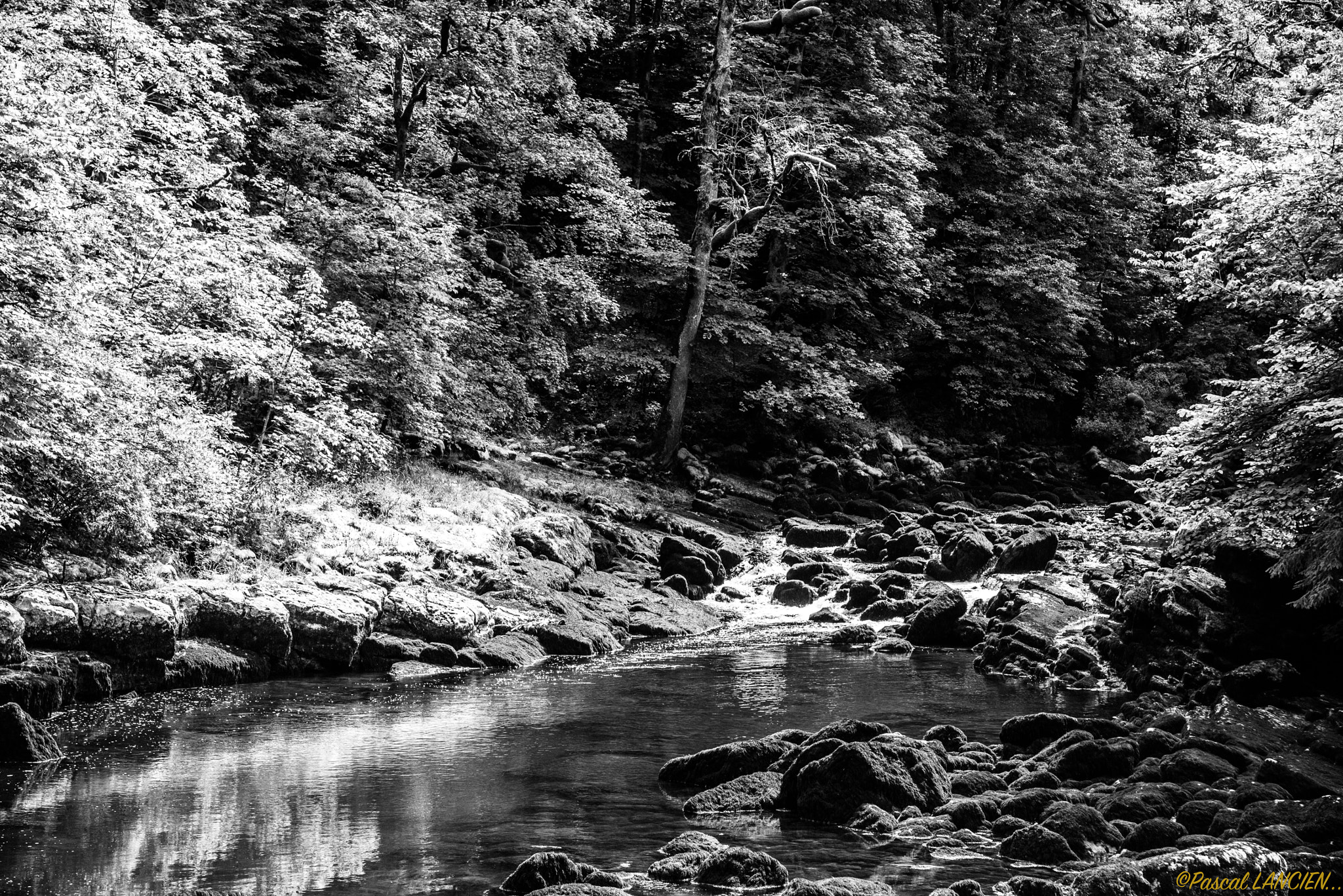 Nikon D800 sample photo. The river photography