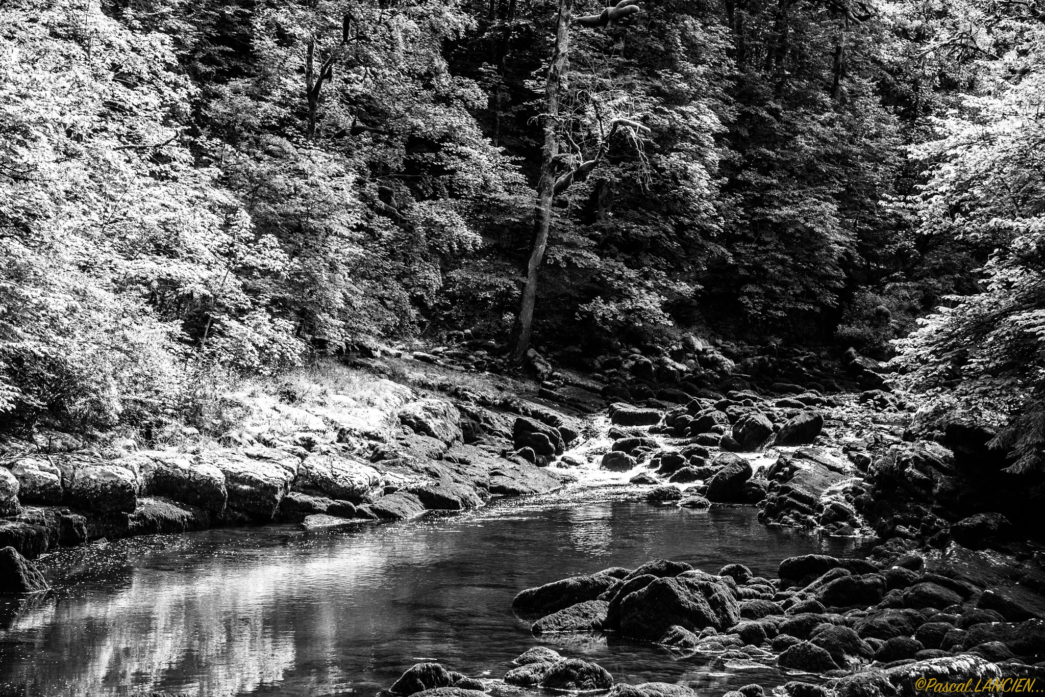 Nikon AF-S Nikkor 24-120mm F4G ED VR sample photo. The river photography