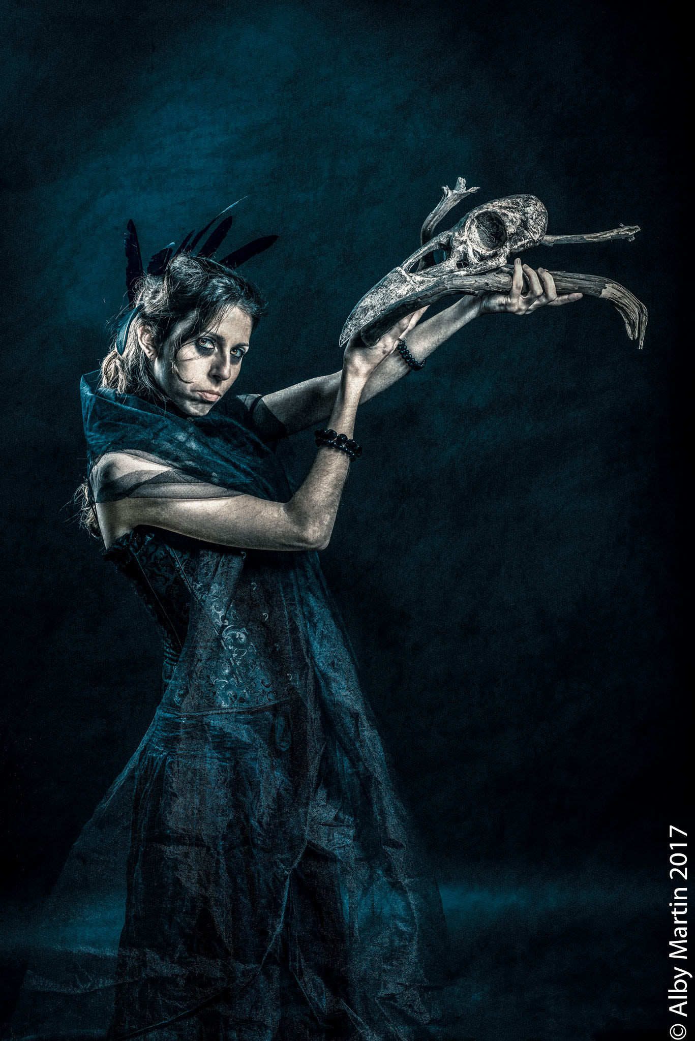 Nikon D800 + Sigma 50mm F1.4 DG HSM Art sample photo. The witch crow photography