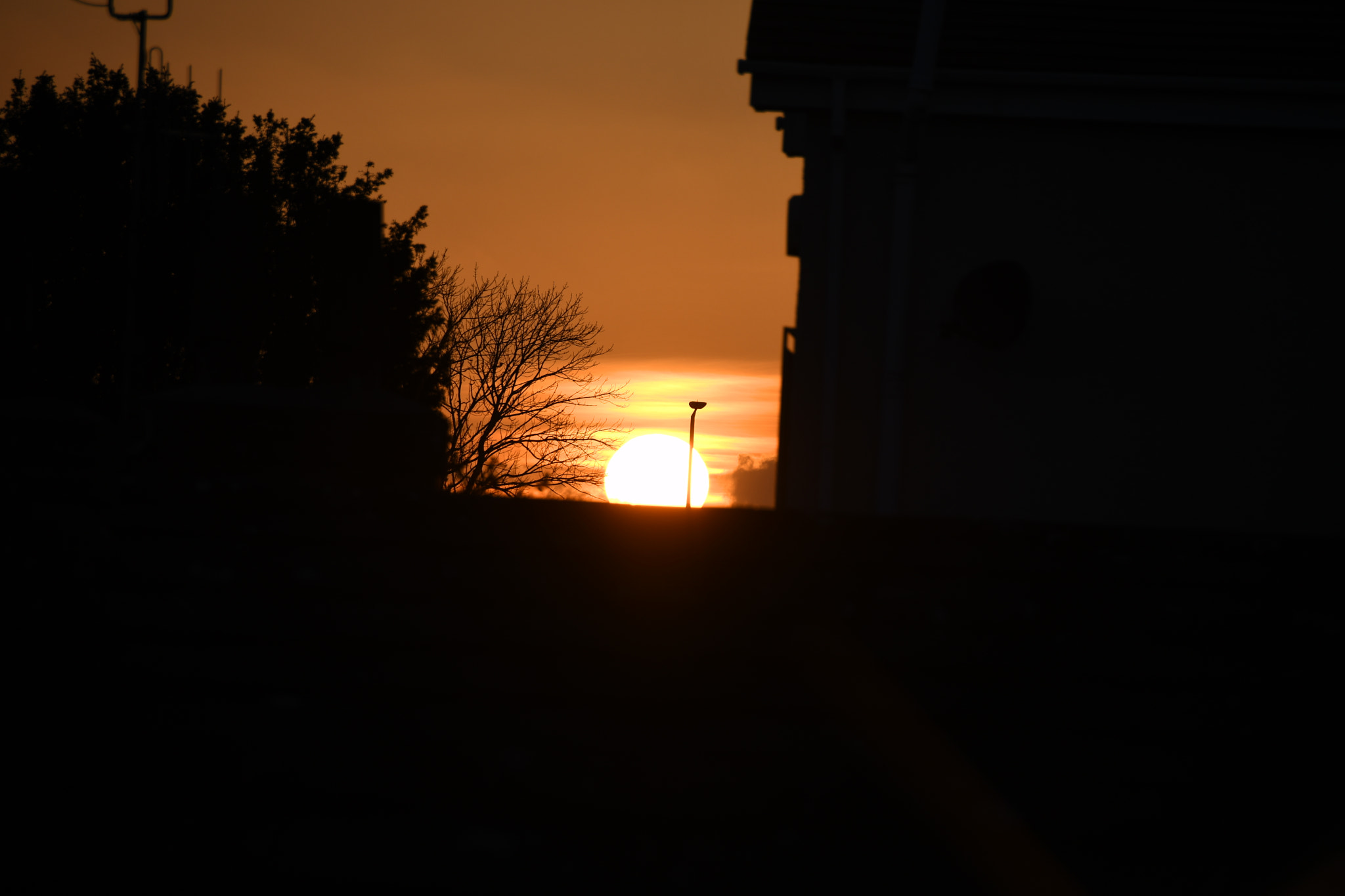 Nikon D500 sample photo