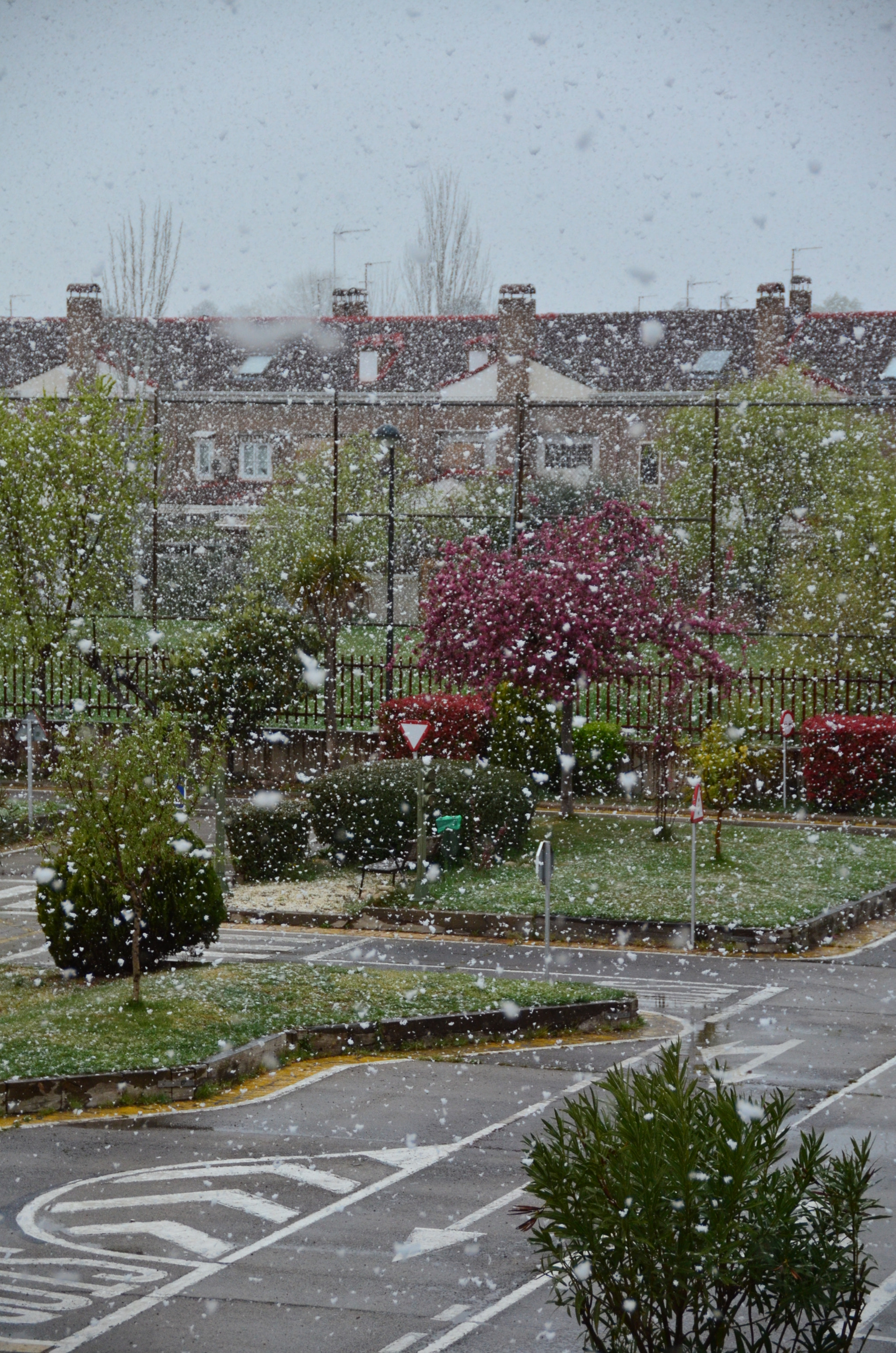 Sigma 18-200mm F3.5-6.3 II DC OS HSM sample photo. Tarde de nieve photography