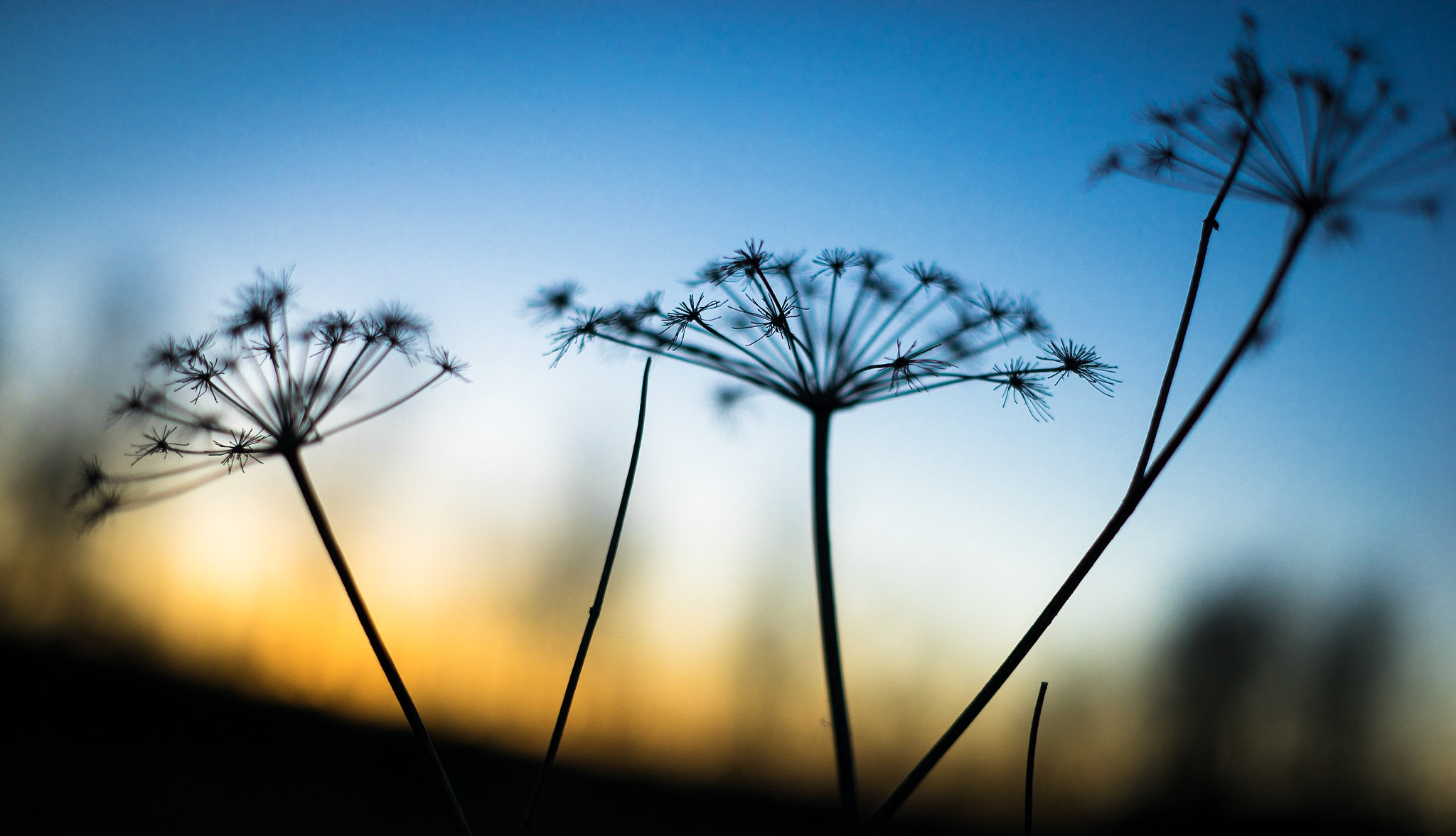 Sony a7R + E 50mm F0 sample photo. Sunset photography