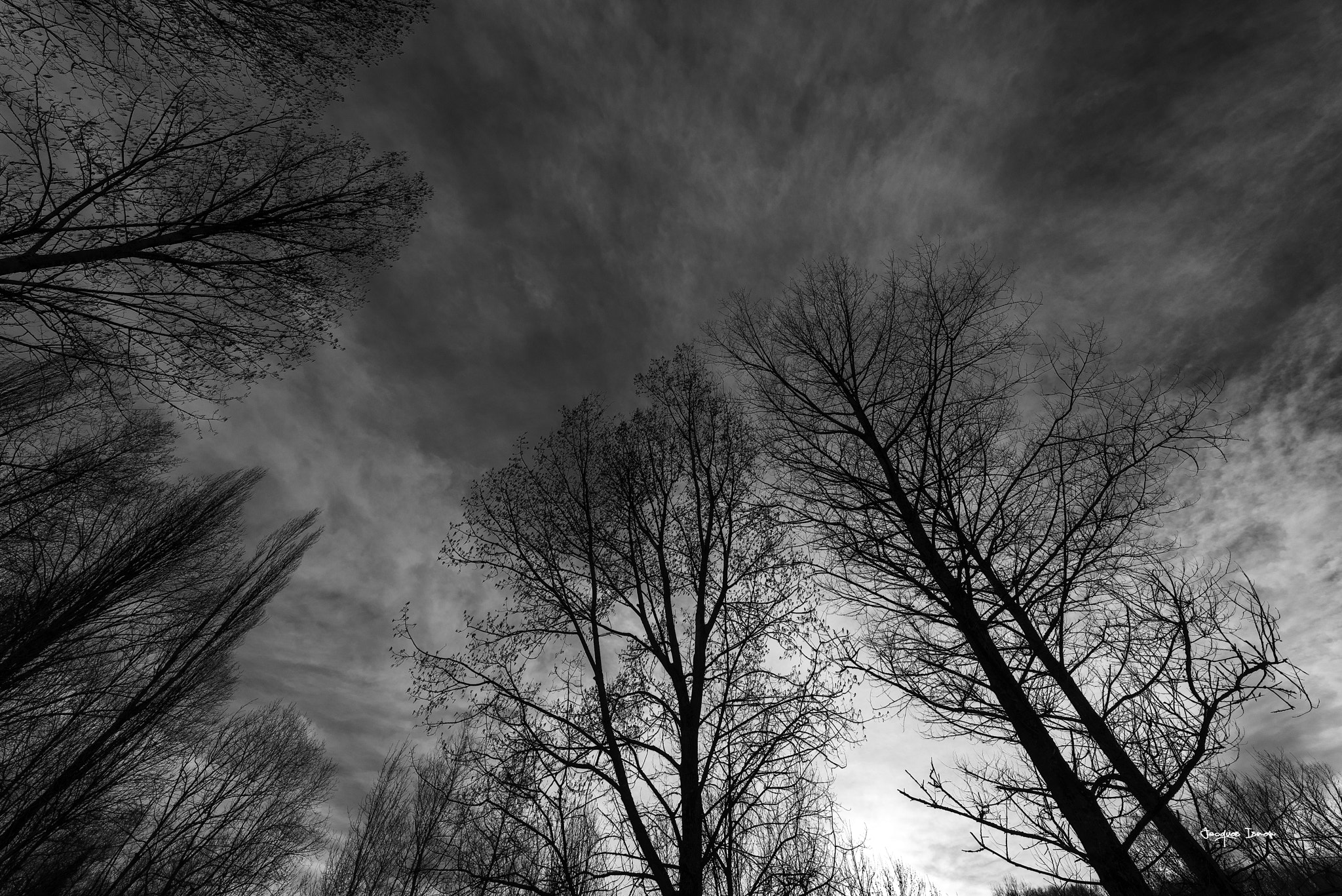 A Series Lens sample photo