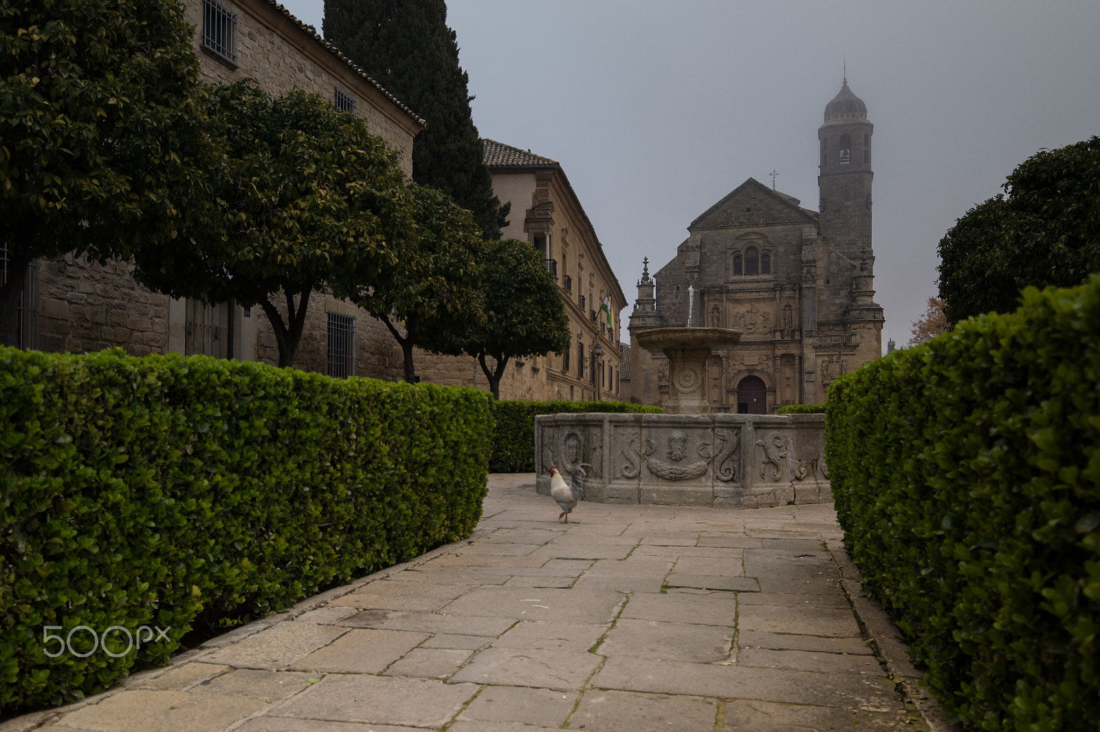Nikon D3200 sample photo. Vbeda ii photography
