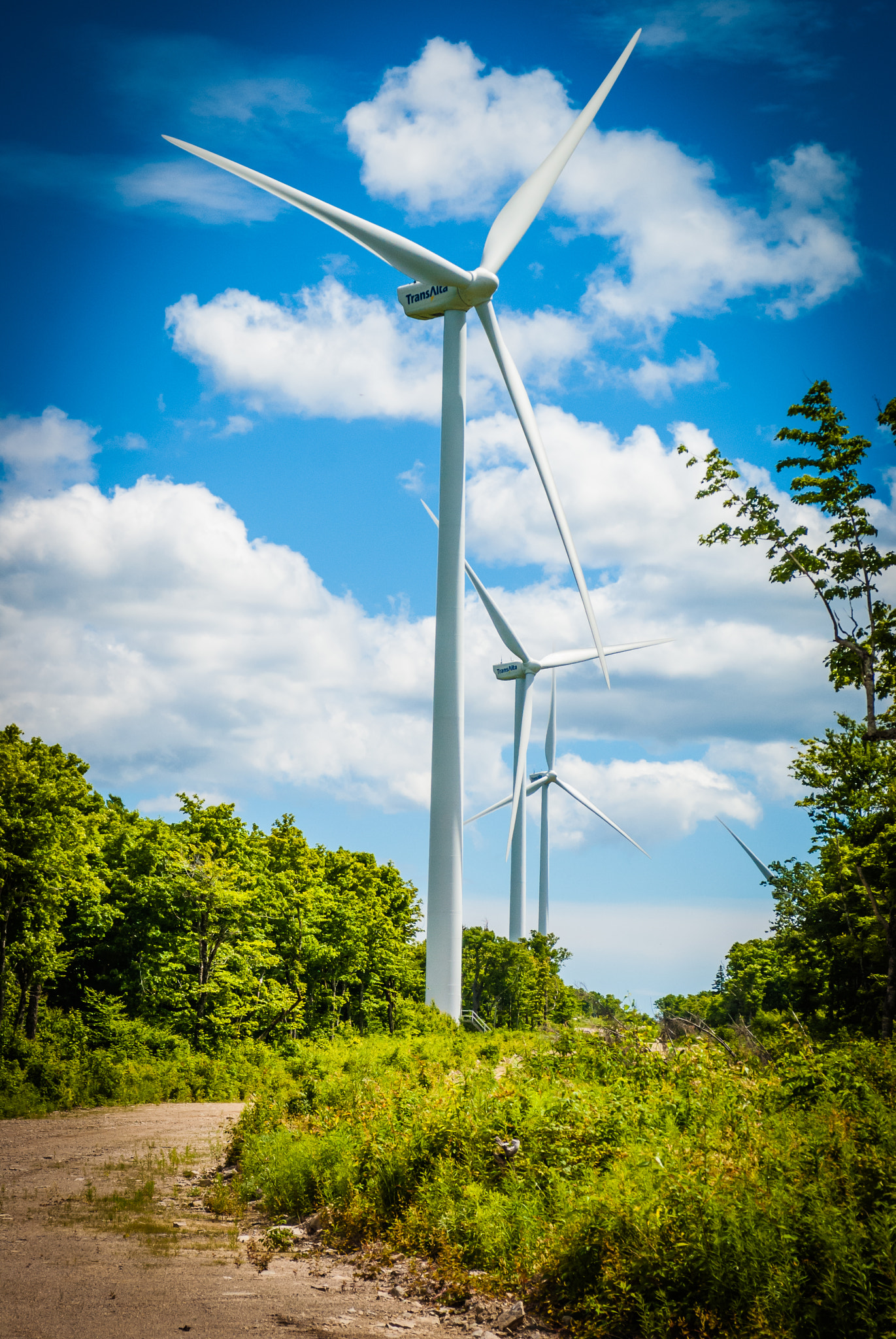 Sony Alpha DSLR-A330 + Sigma 17-70mm F2.8-4.5 (D) sample photo. Wind energy photography