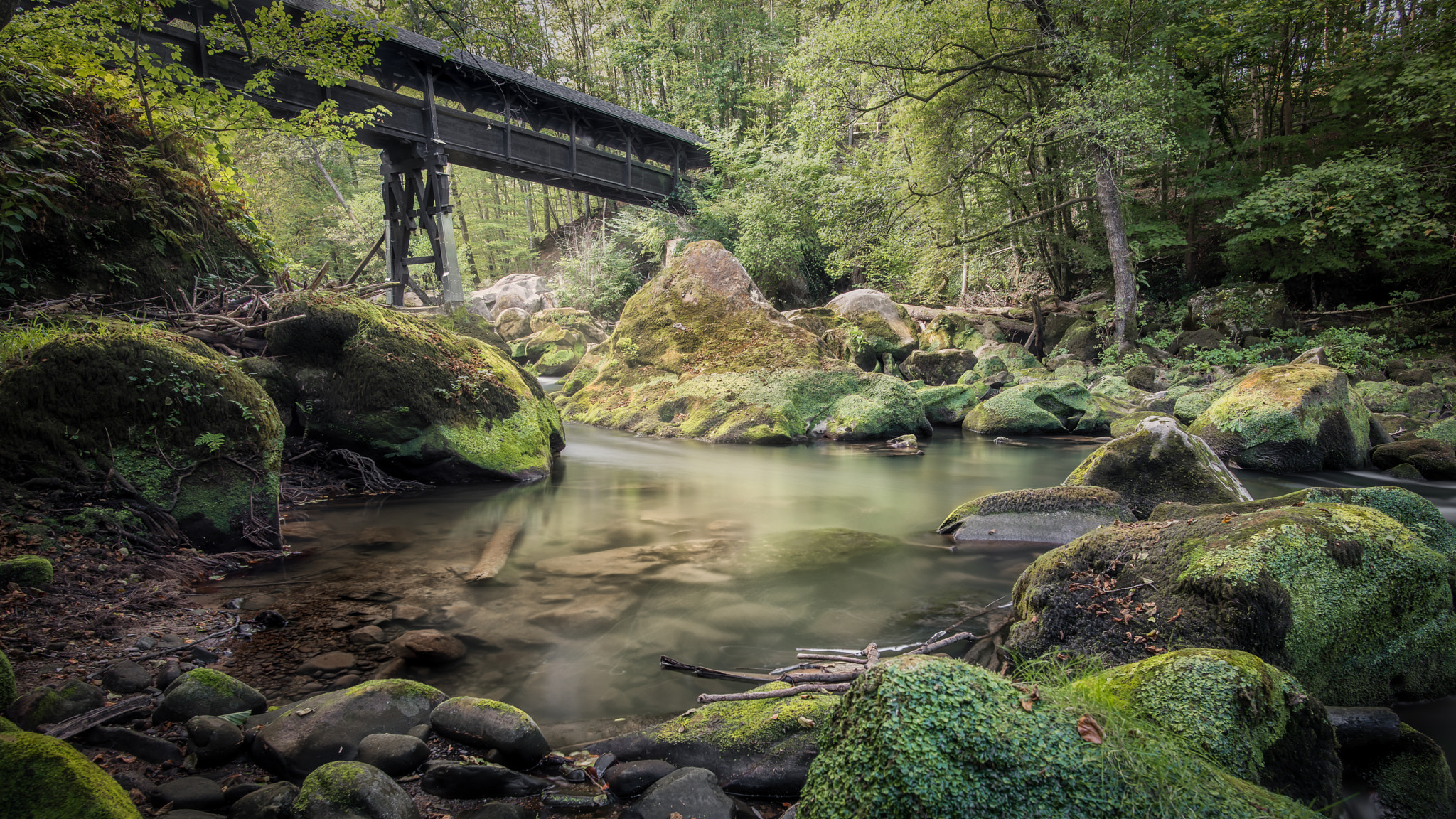Nikon D810 + Nikon AF-S Nikkor 20mm F1.8G ED sample photo. Irrel photography