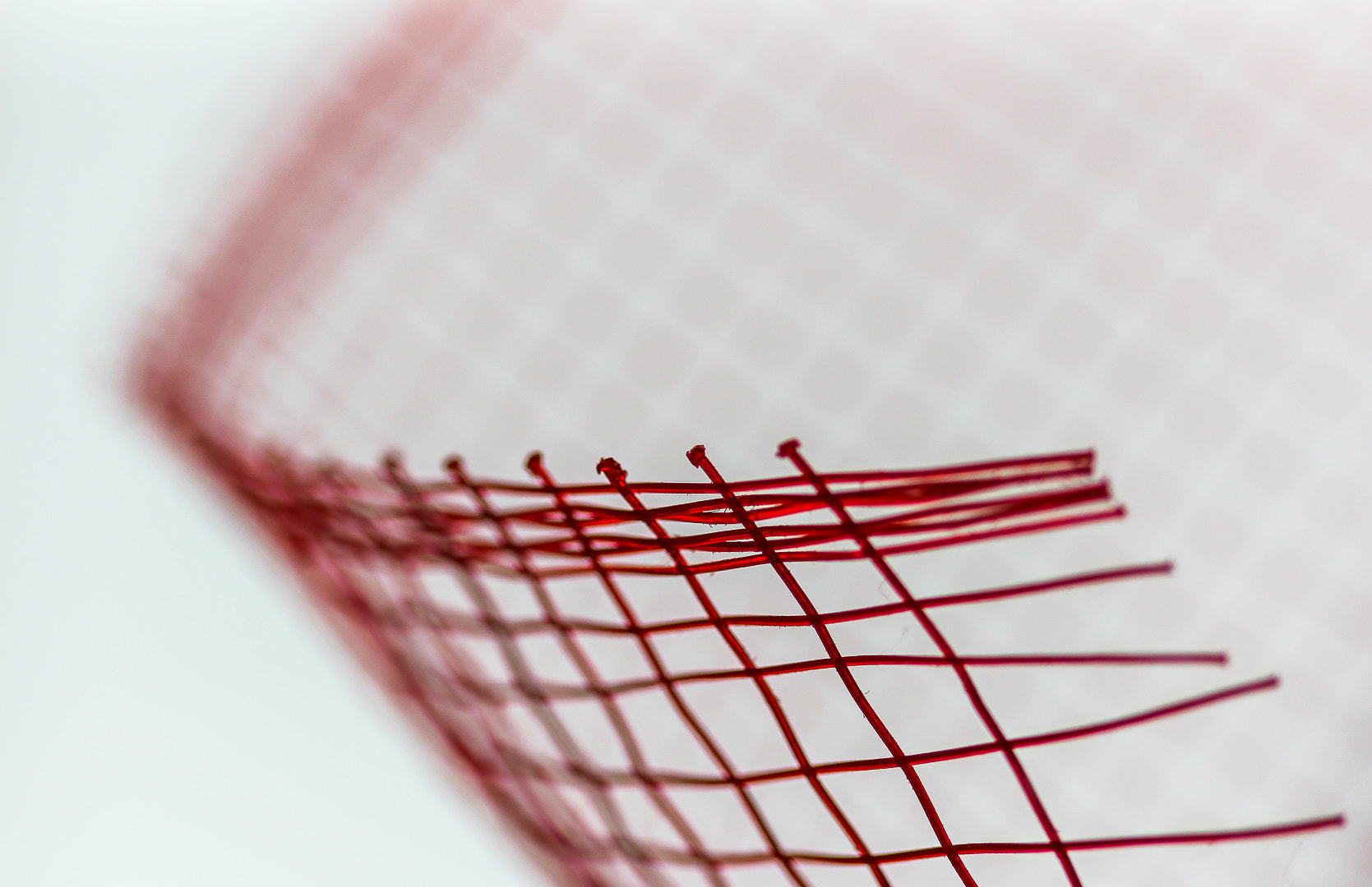 Canon EF 100mm F2.8 Macro USM sample photo. Red minimal photography