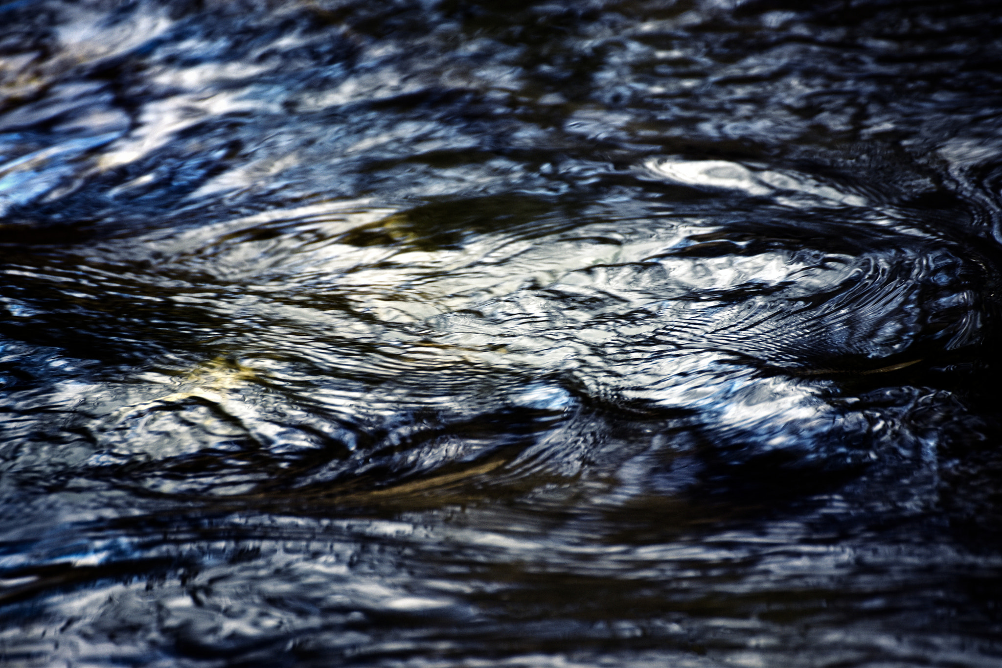 Nikon D5500 sample photo. Abstract dark water surface photography