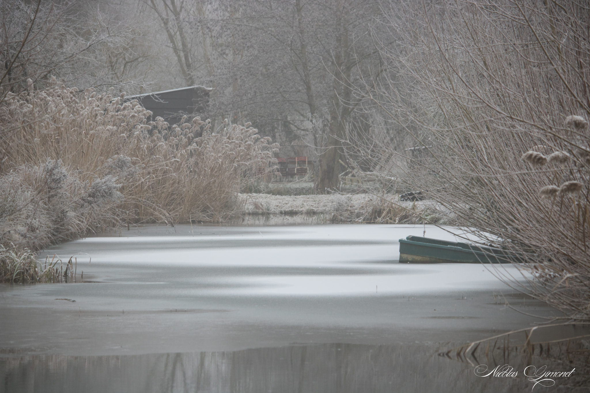 Canon EOS 750D (EOS Rebel T6i / EOS Kiss X8i) + Canon EF-S 55-250mm F4-5.6 IS STM sample photo. Winter landscape photography