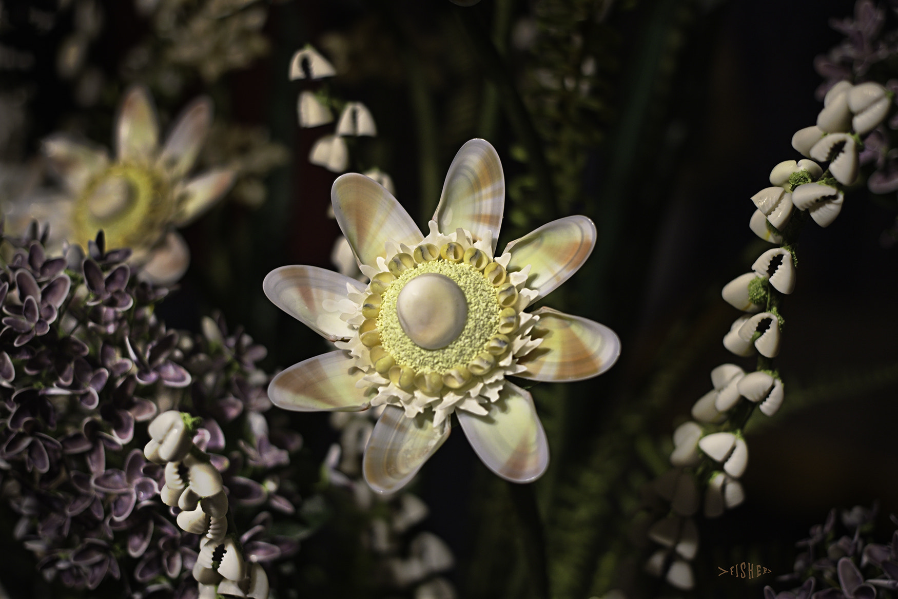 Canon EOS 760D (EOS Rebel T6s / EOS 8000D) sample photo. Shell flower #2 photography