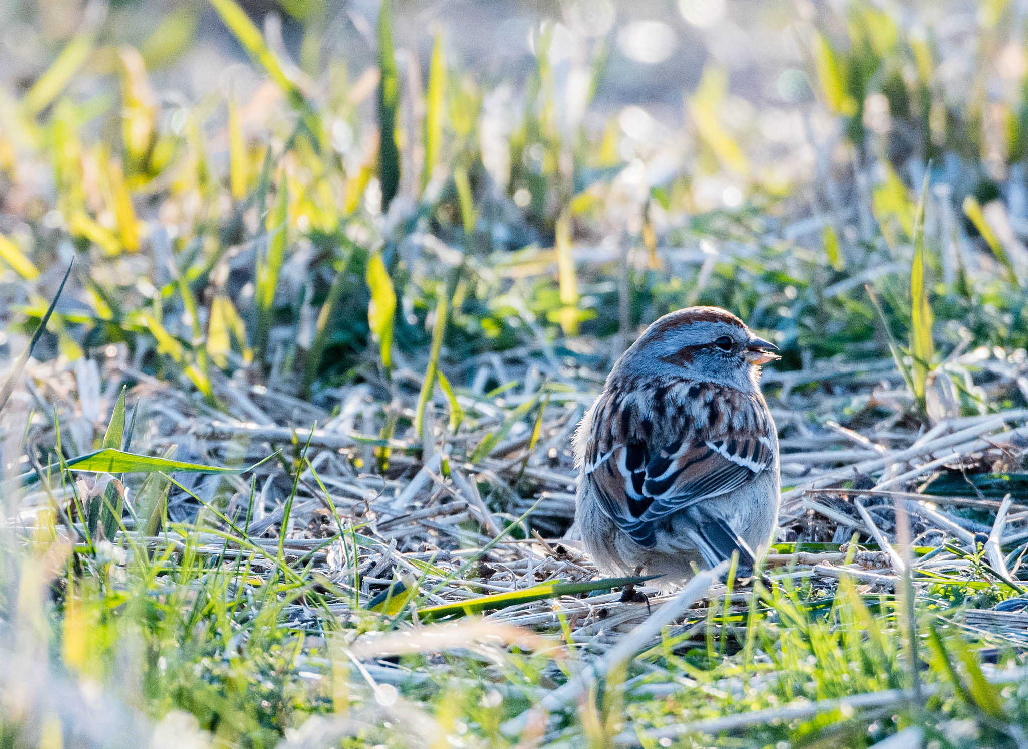 Nikon D500 sample photo. 3/19 photography hike photography