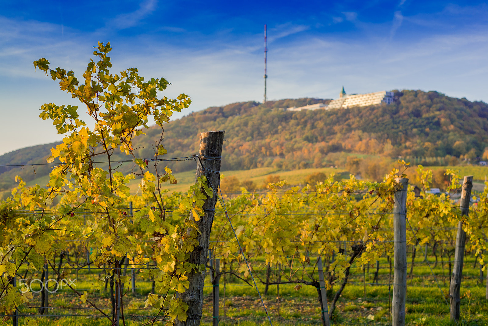 Nikon AF Nikkor 50mm F1.8D sample photo. Wien kahlenberg photography