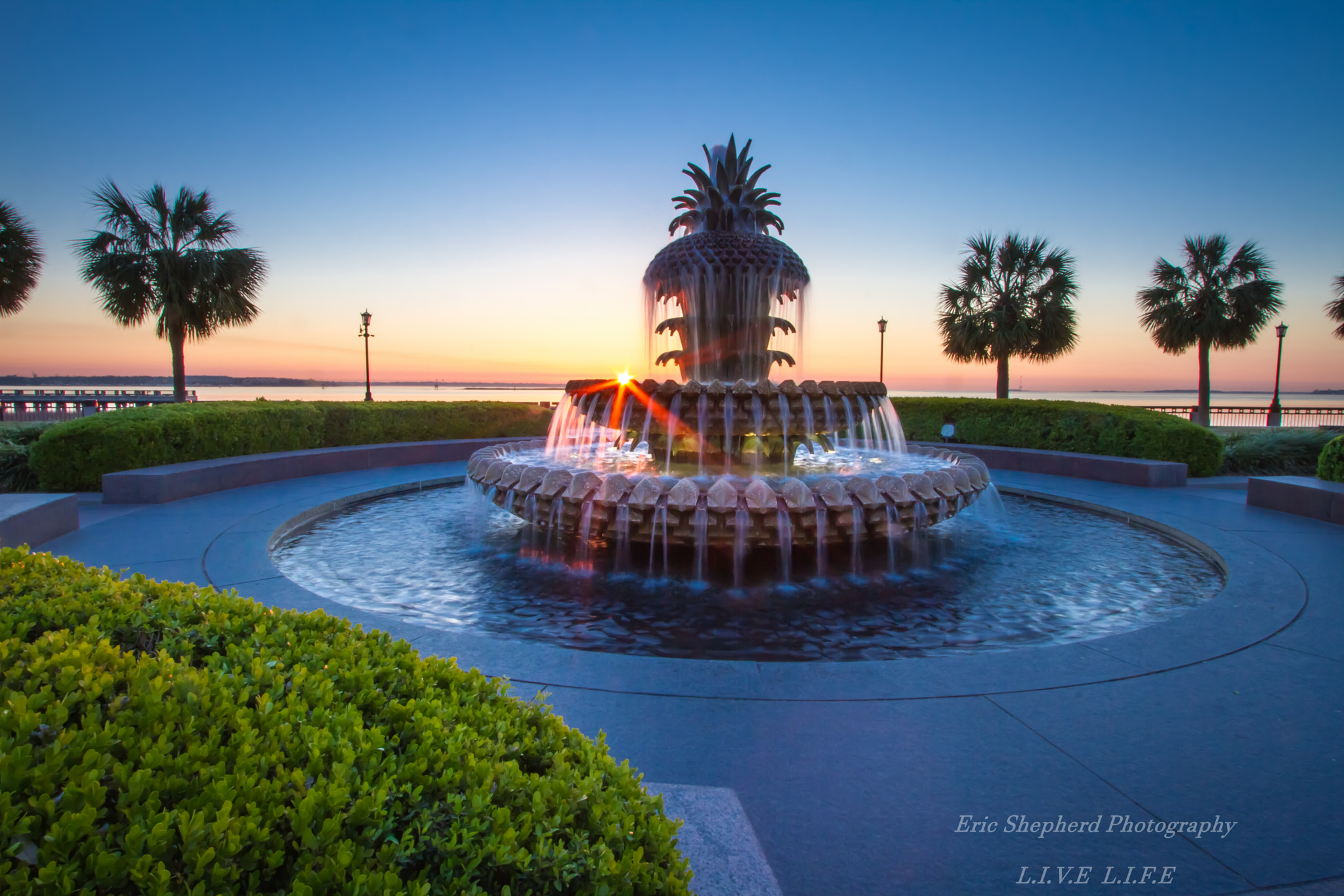 Canon EF-S 10-22mm F3.5-4.5 USM sample photo. Pineapple at sunrise photography