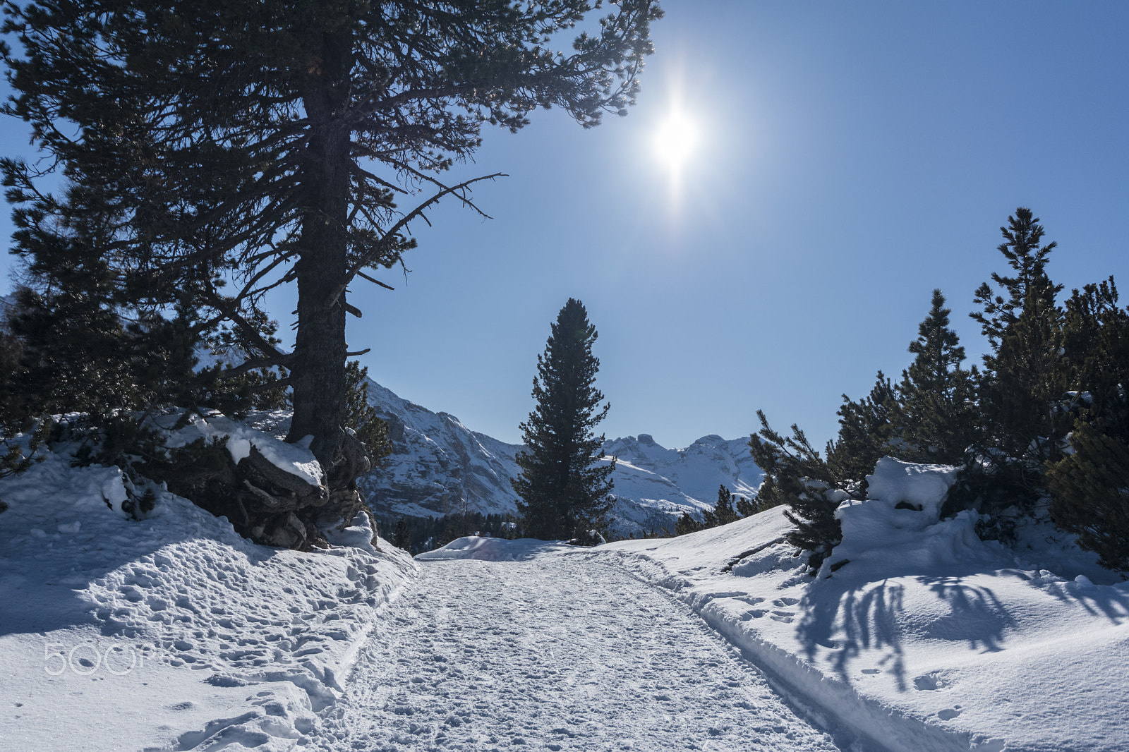 Nikon D5500 sample photo. Winter road photography
