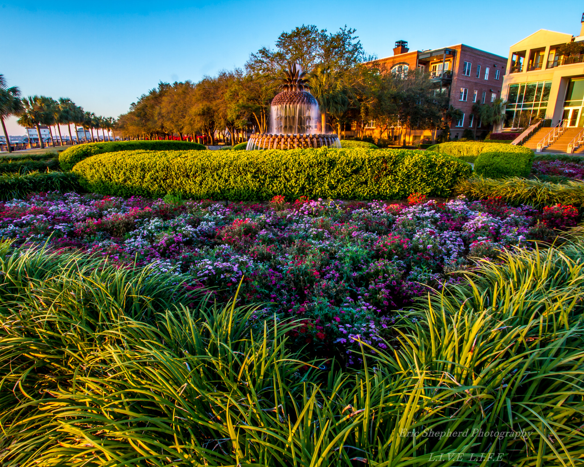 Canon EF-S 10-22mm F3.5-4.5 USM sample photo. Charleston photography