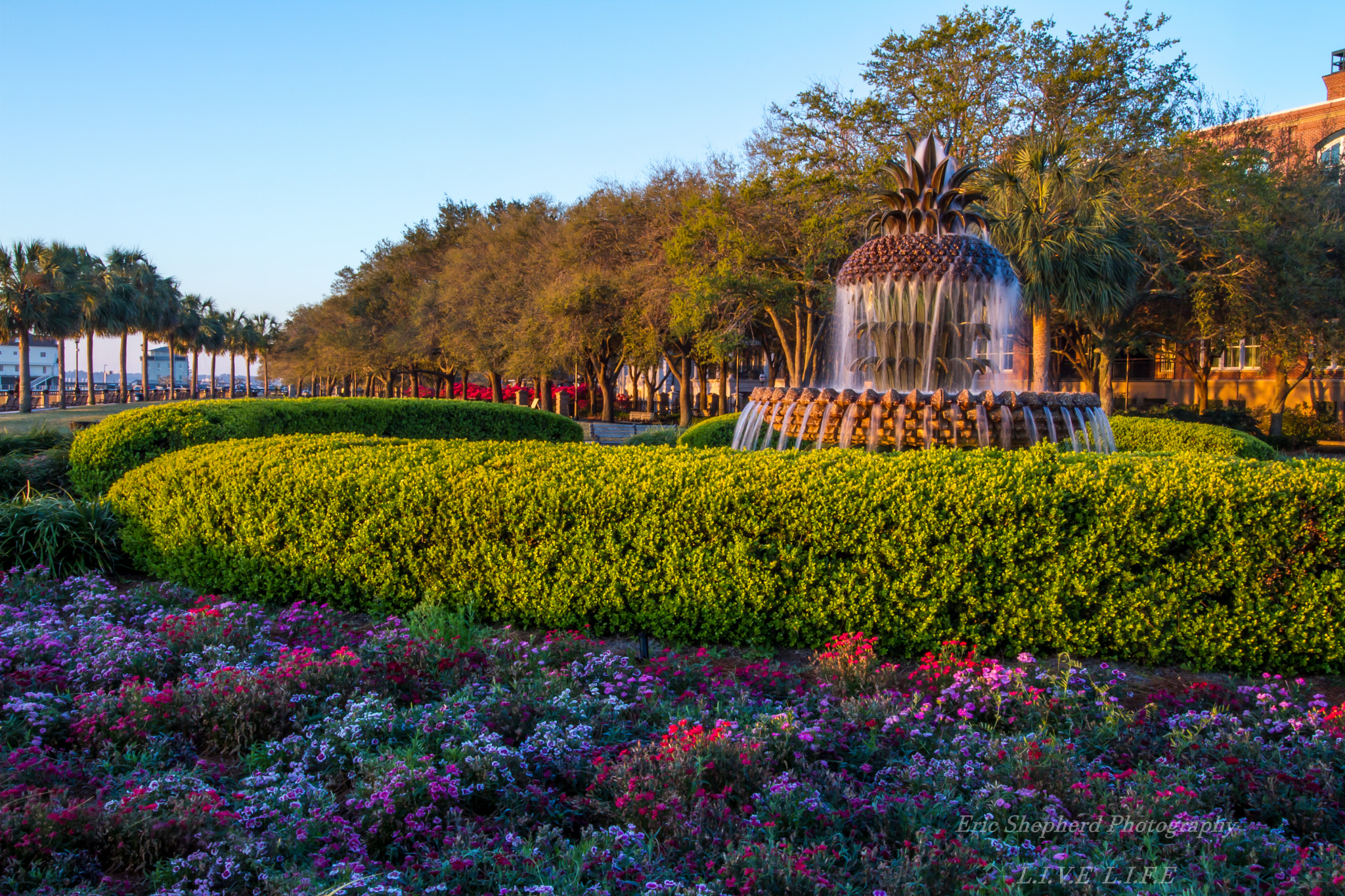 Canon EF-S 10-22mm F3.5-4.5 USM sample photo. Charleston photography