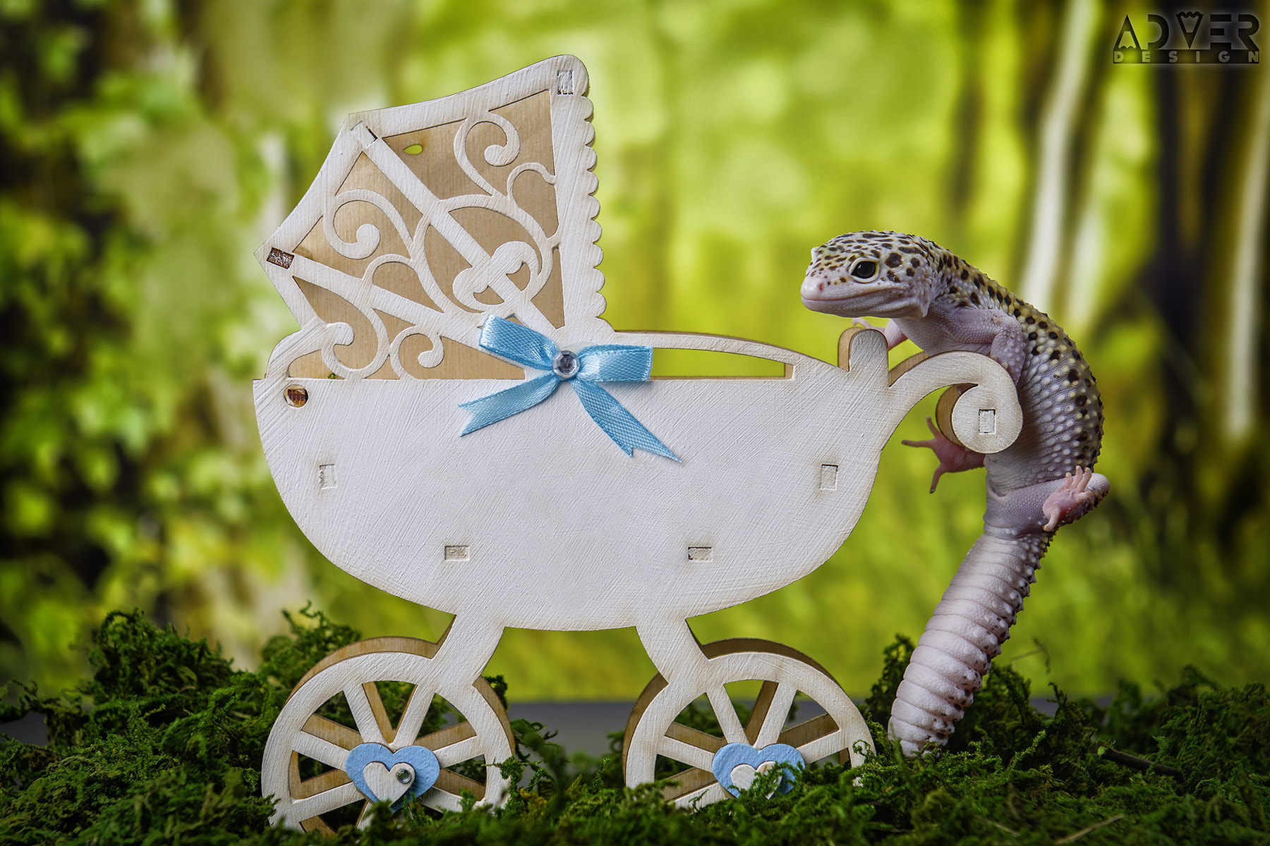 Nikon AF-S Nikkor 24-70mm F2.8G ED sample photo. Pregnancy session photography