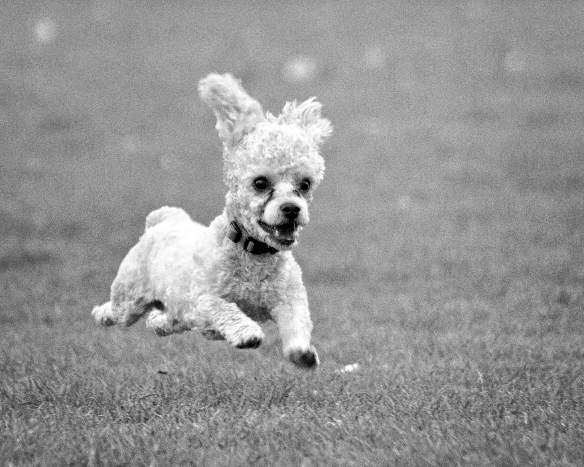 Canon EF 75-300mm f/4-5.6 USM sample photo. Jimmy photography