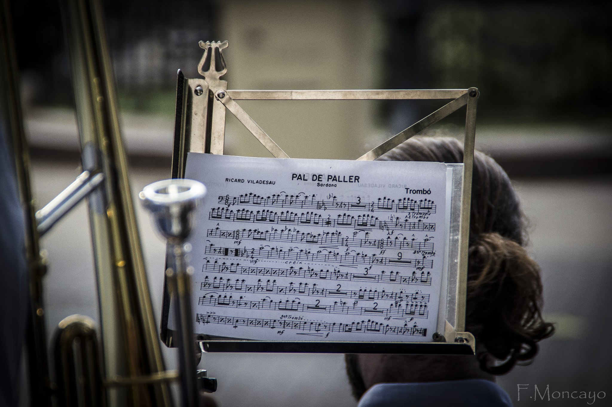 Canon EOS 550D (EOS Rebel T2i / EOS Kiss X4) sample photo. Partitura photography