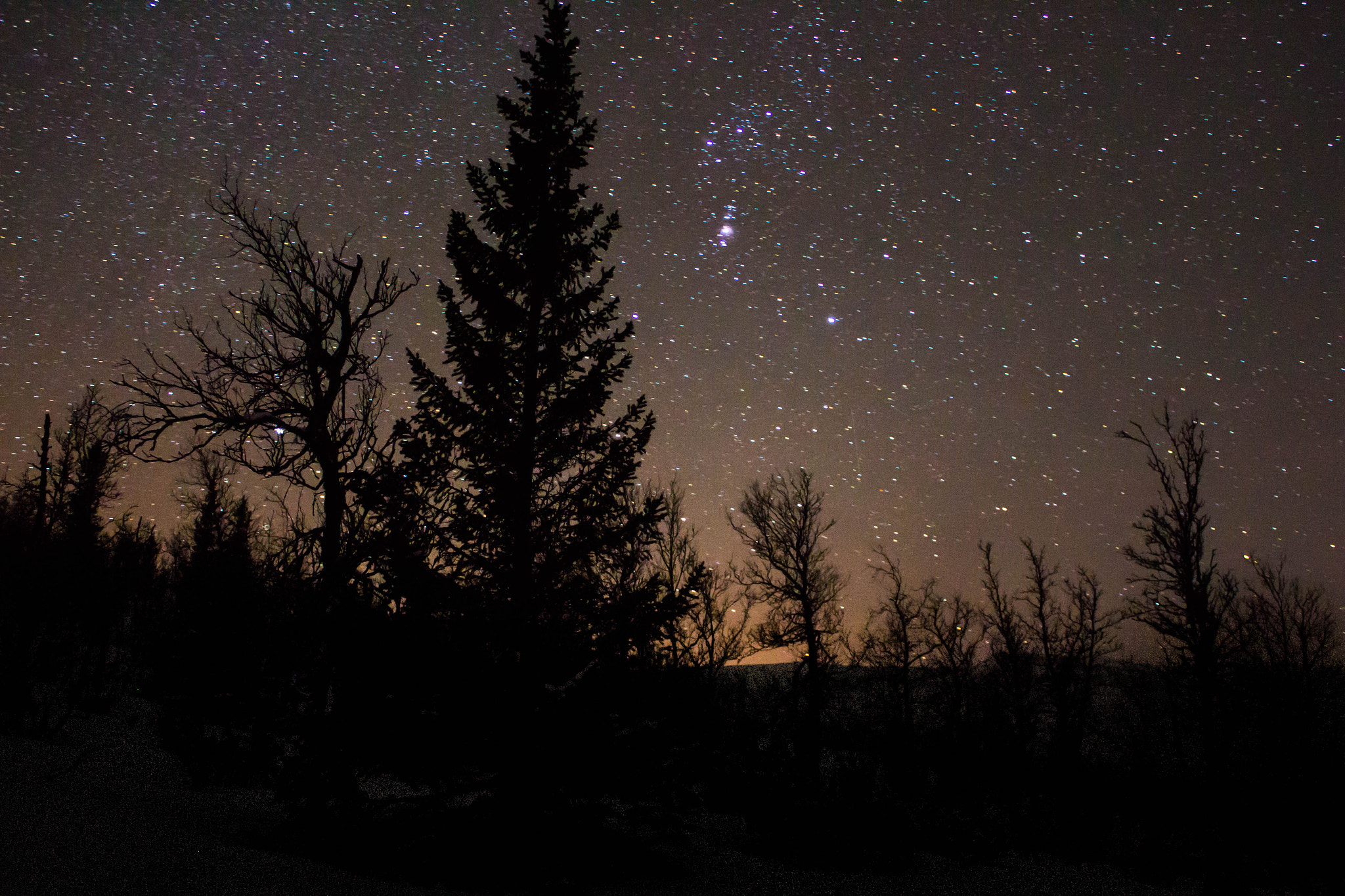 Canon EF-S 18-55mm F3.5-5.6 IS sample photo. Foresty nightscape photography