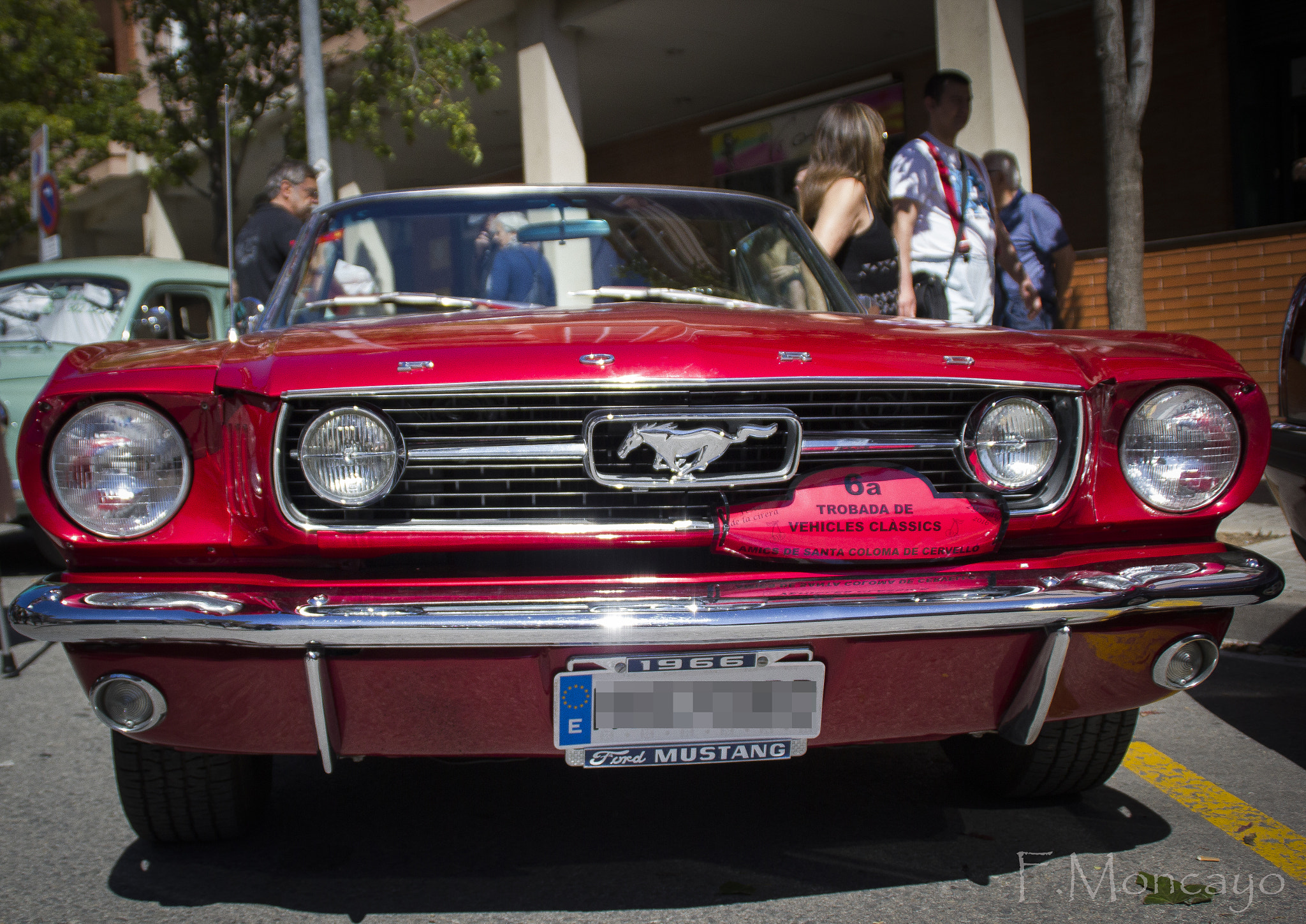 Canon EOS 550D (EOS Rebel T2i / EOS Kiss X4) sample photo. Mustang photography
