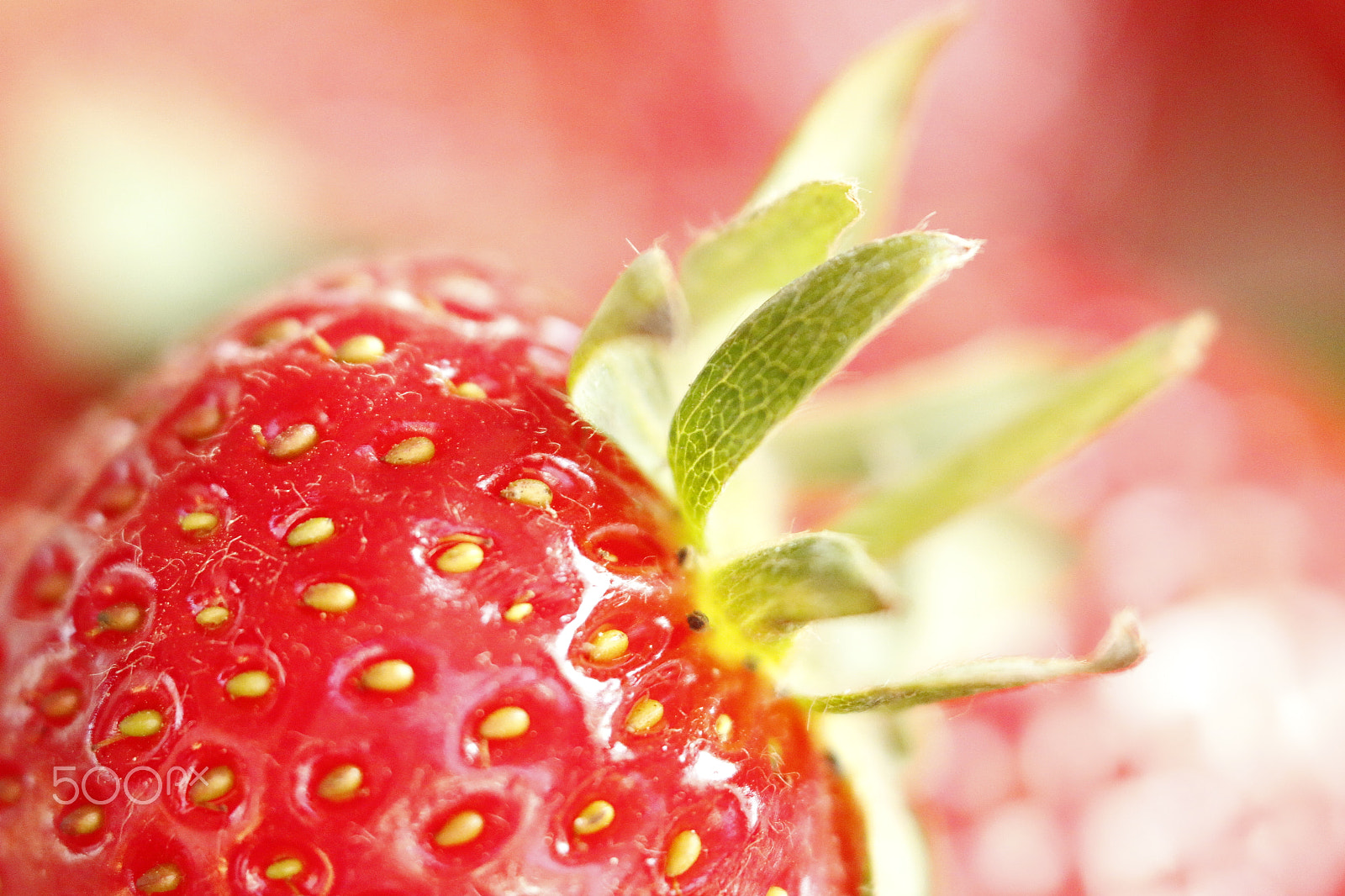Sigma APO Macro 180mm F2.8 EX DG OS HSM sample photo. Strawberry photography
